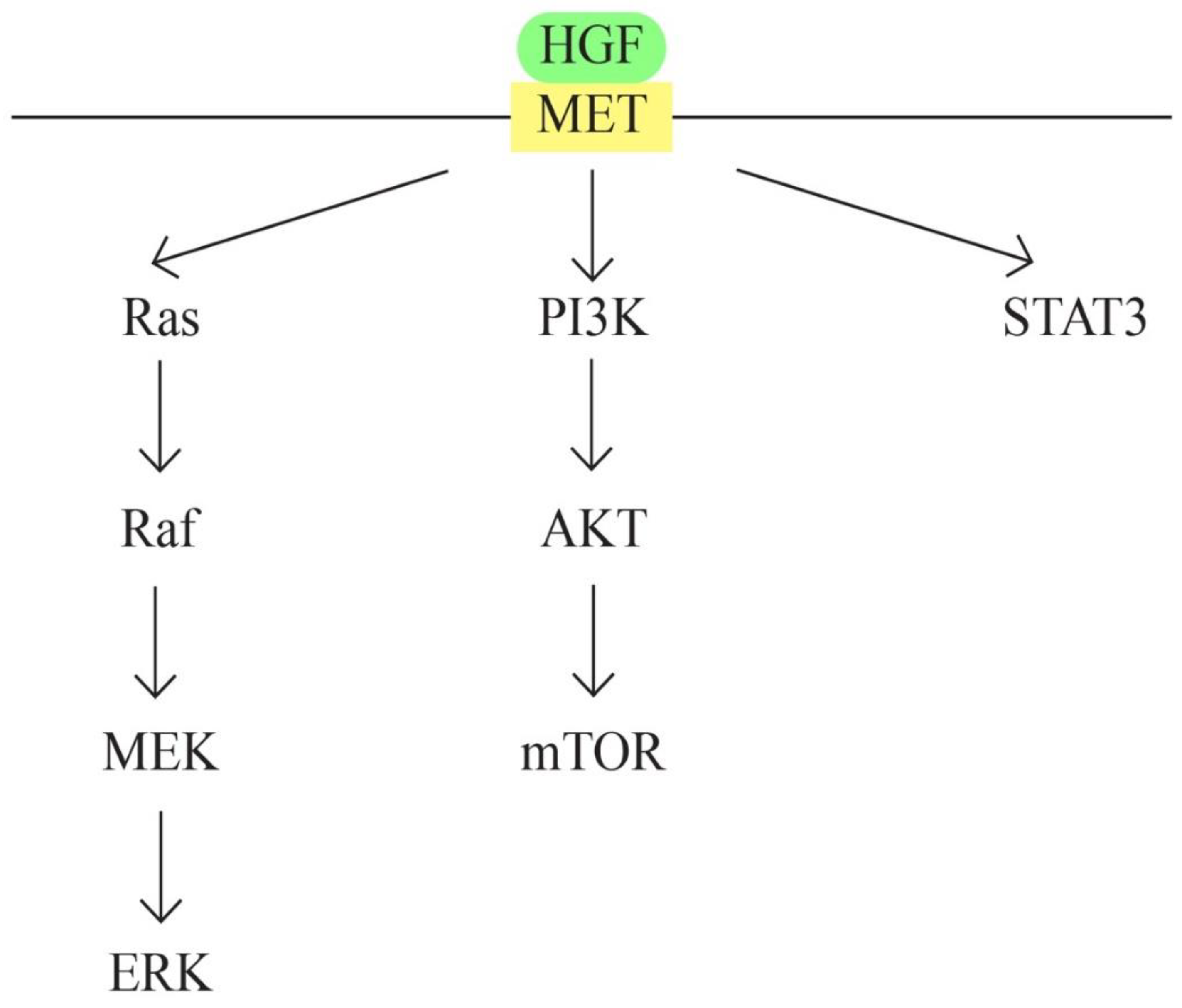 Preprints 86335 g006