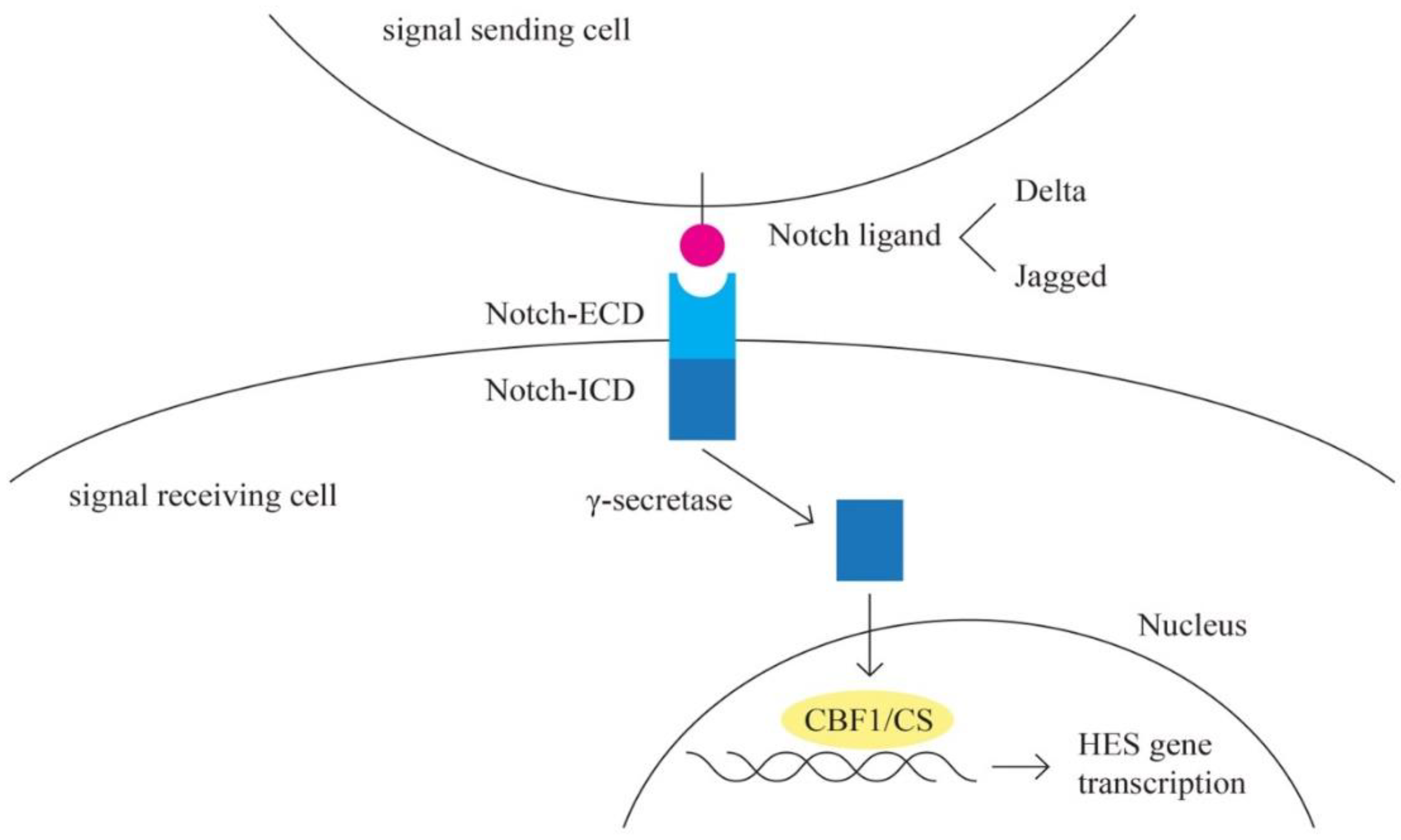Preprints 86335 g007