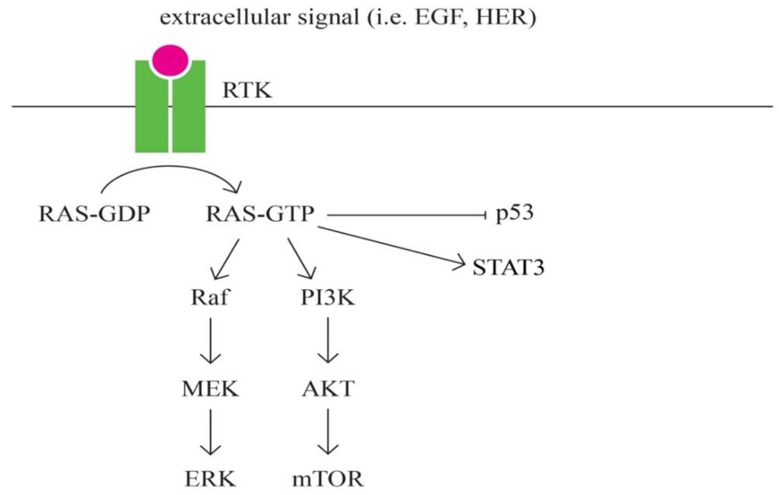Preprints 86335 g008