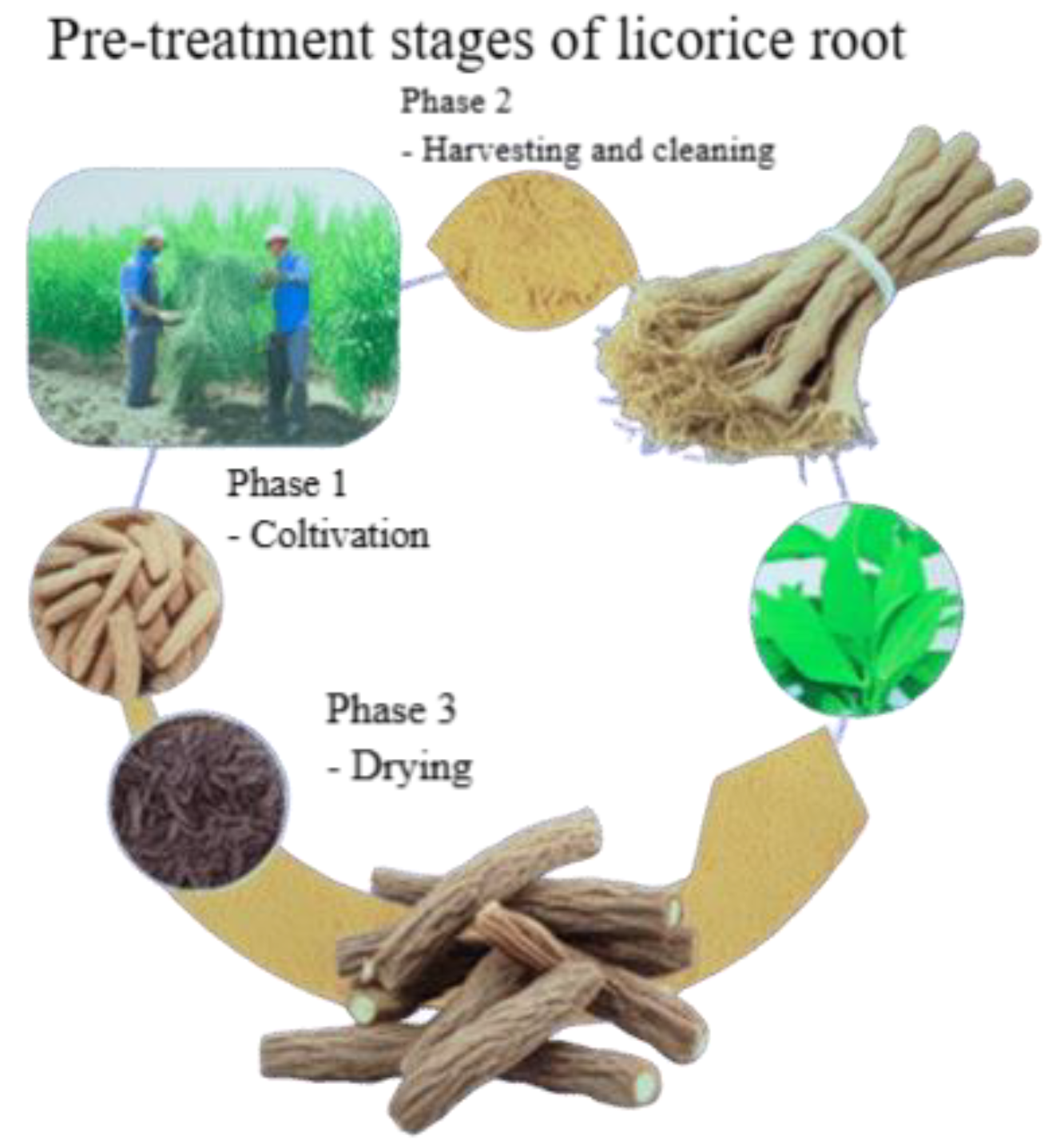 Preprints 189095 g002