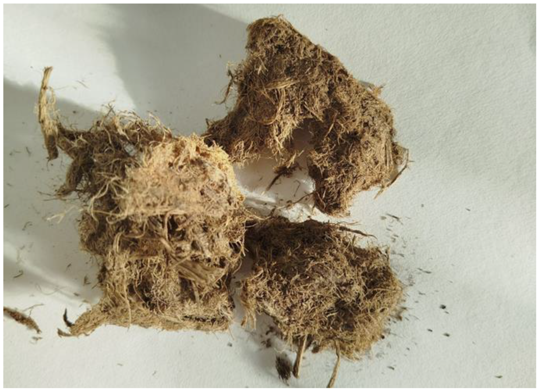 Preprints 189095 g003