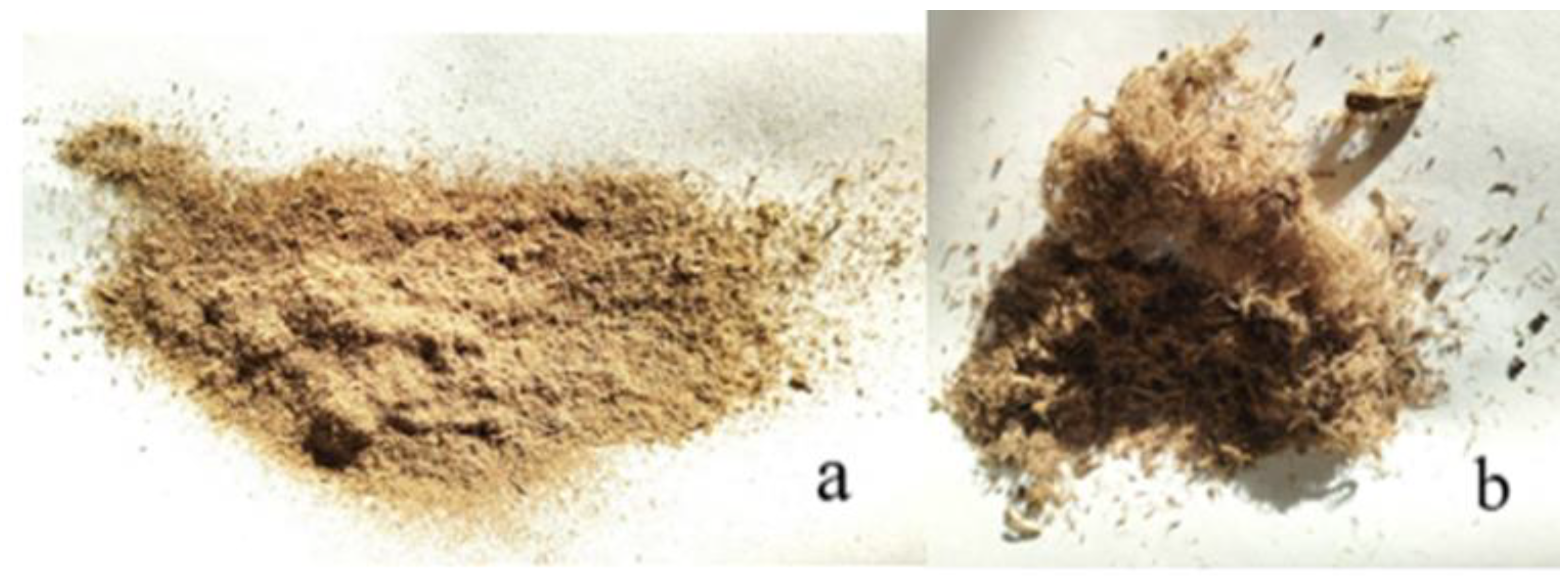 Preprints 189095 g004