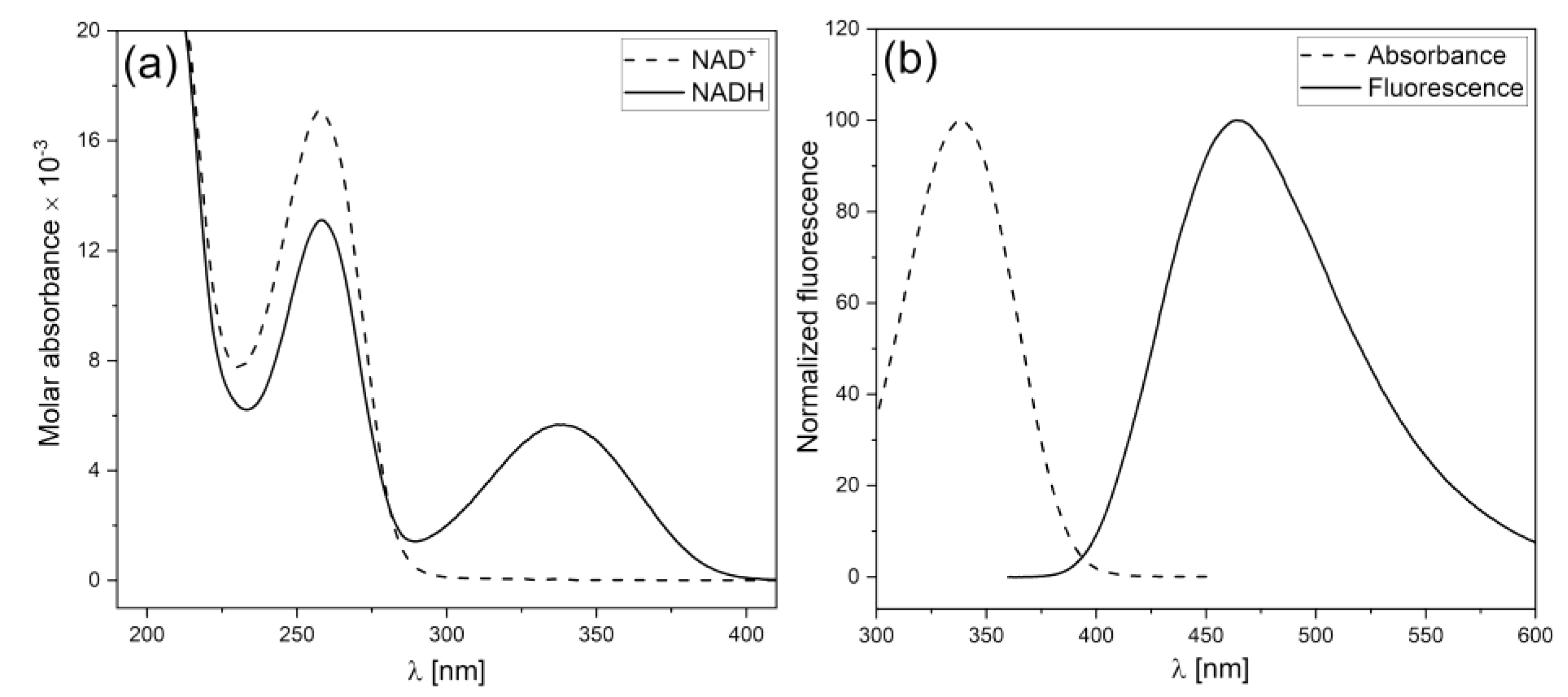 Preprints 68036 g001