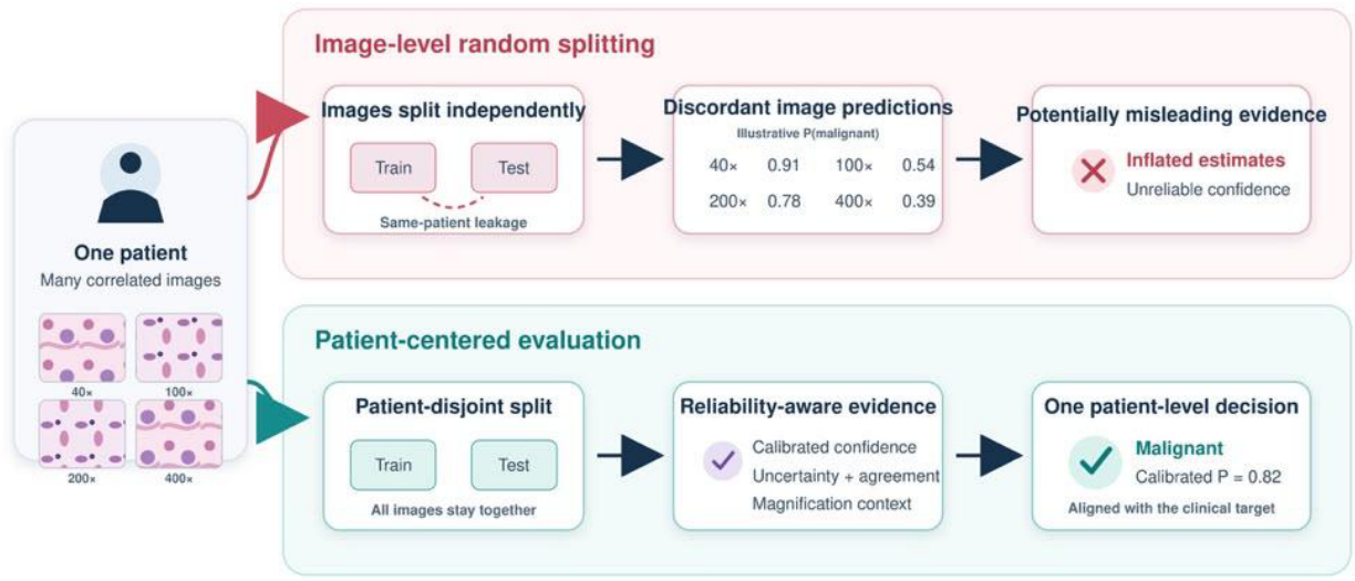 Preprints 233412 g001 Preprints 233412 g001