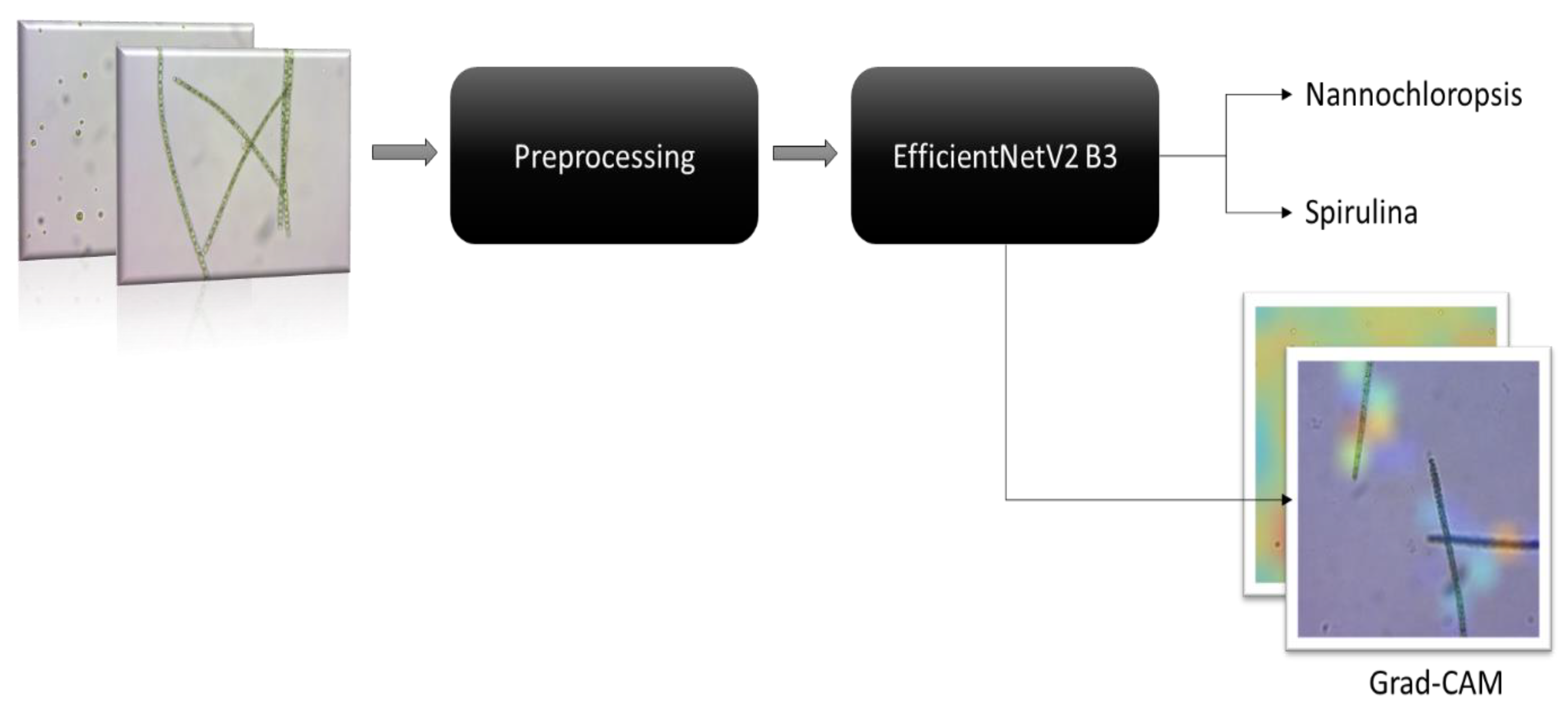 Preprints 73930 g001