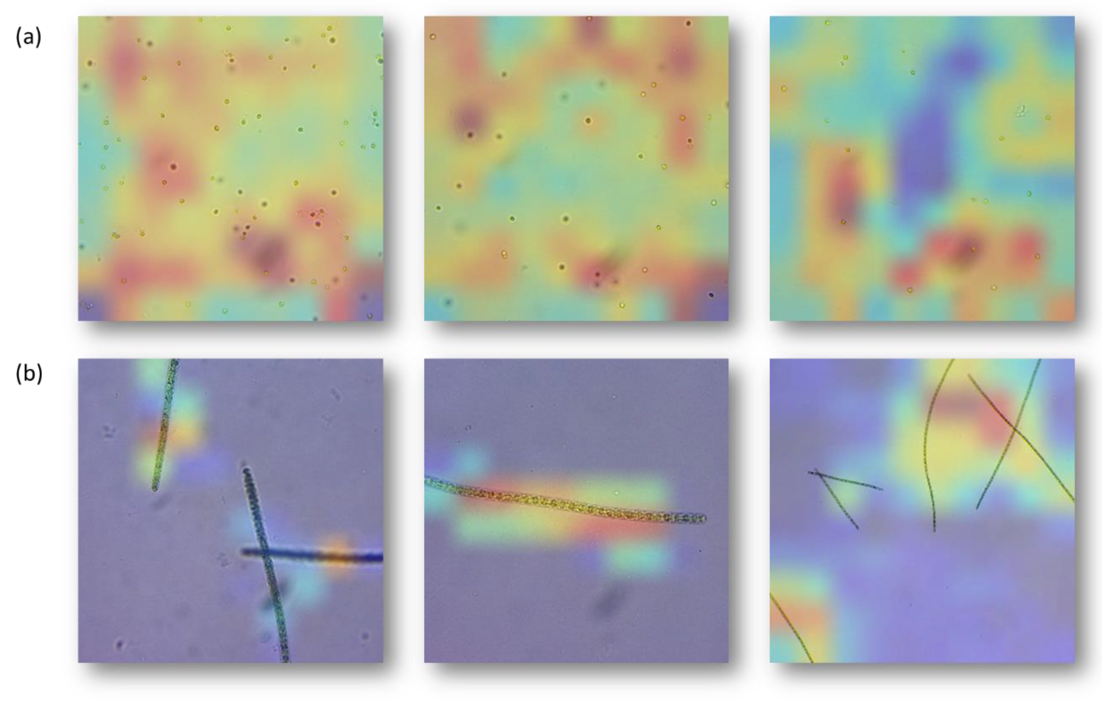 Preprints 73930 g004