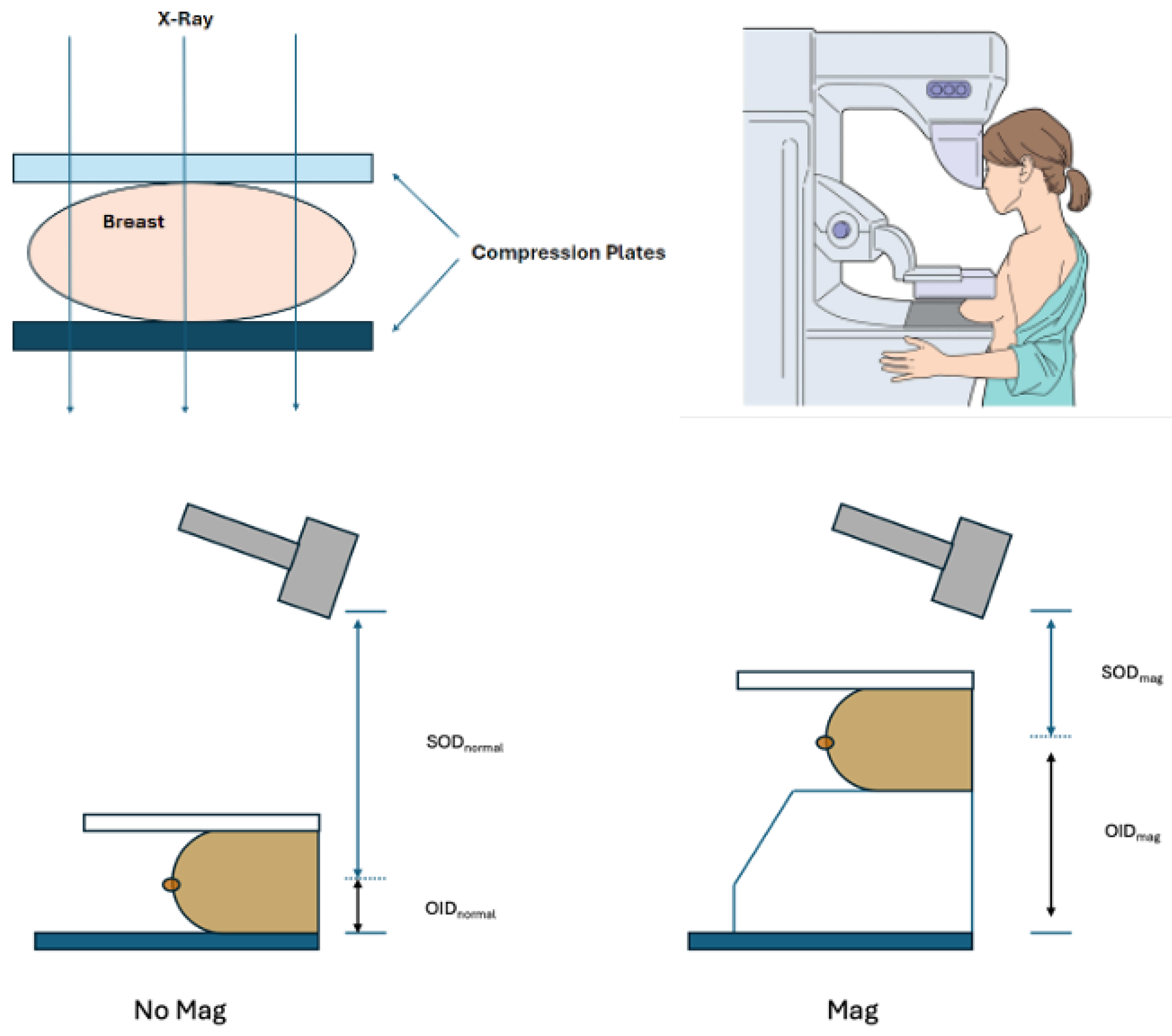 Preprints 142111 g004