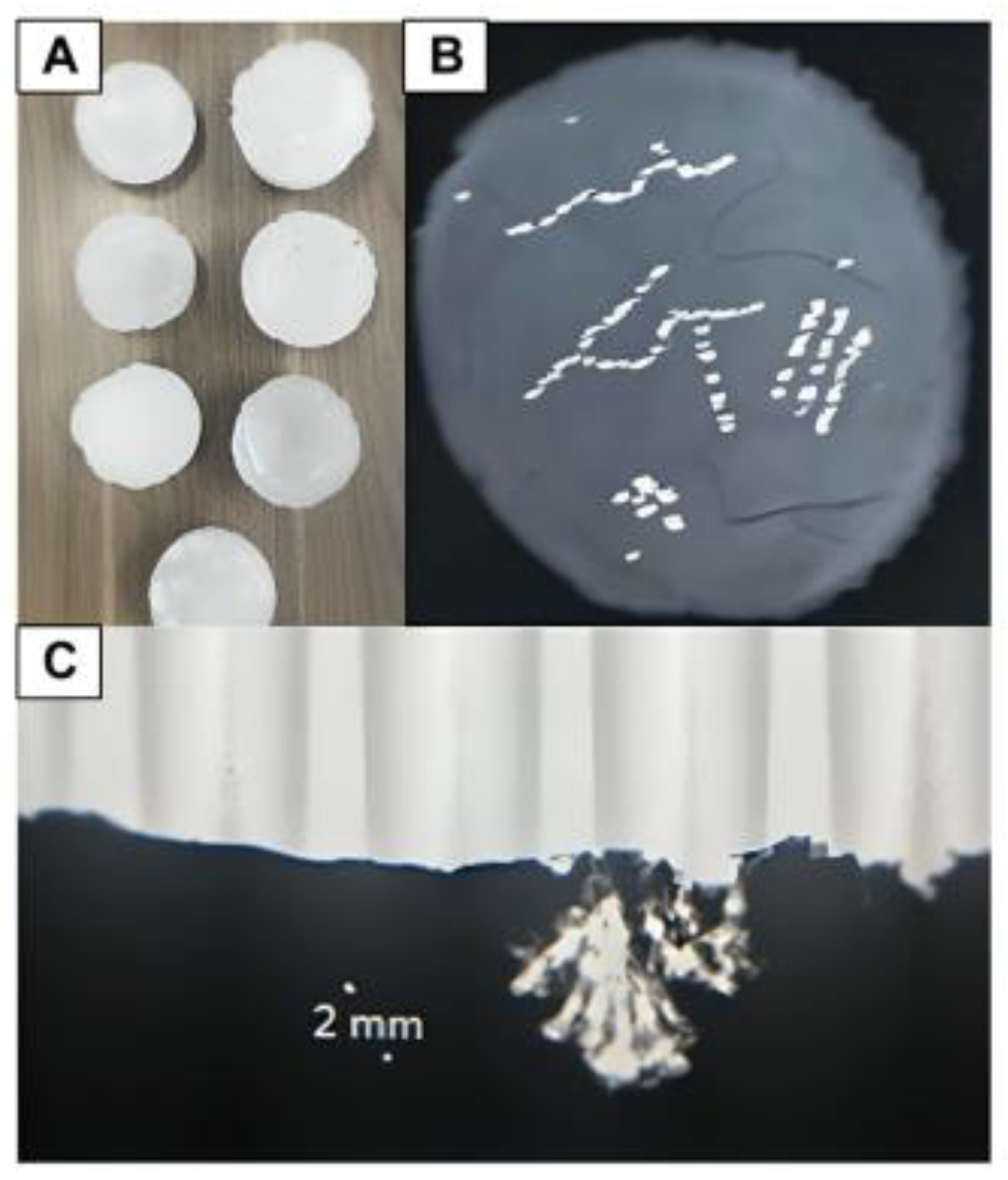 Preprints 142111 g009