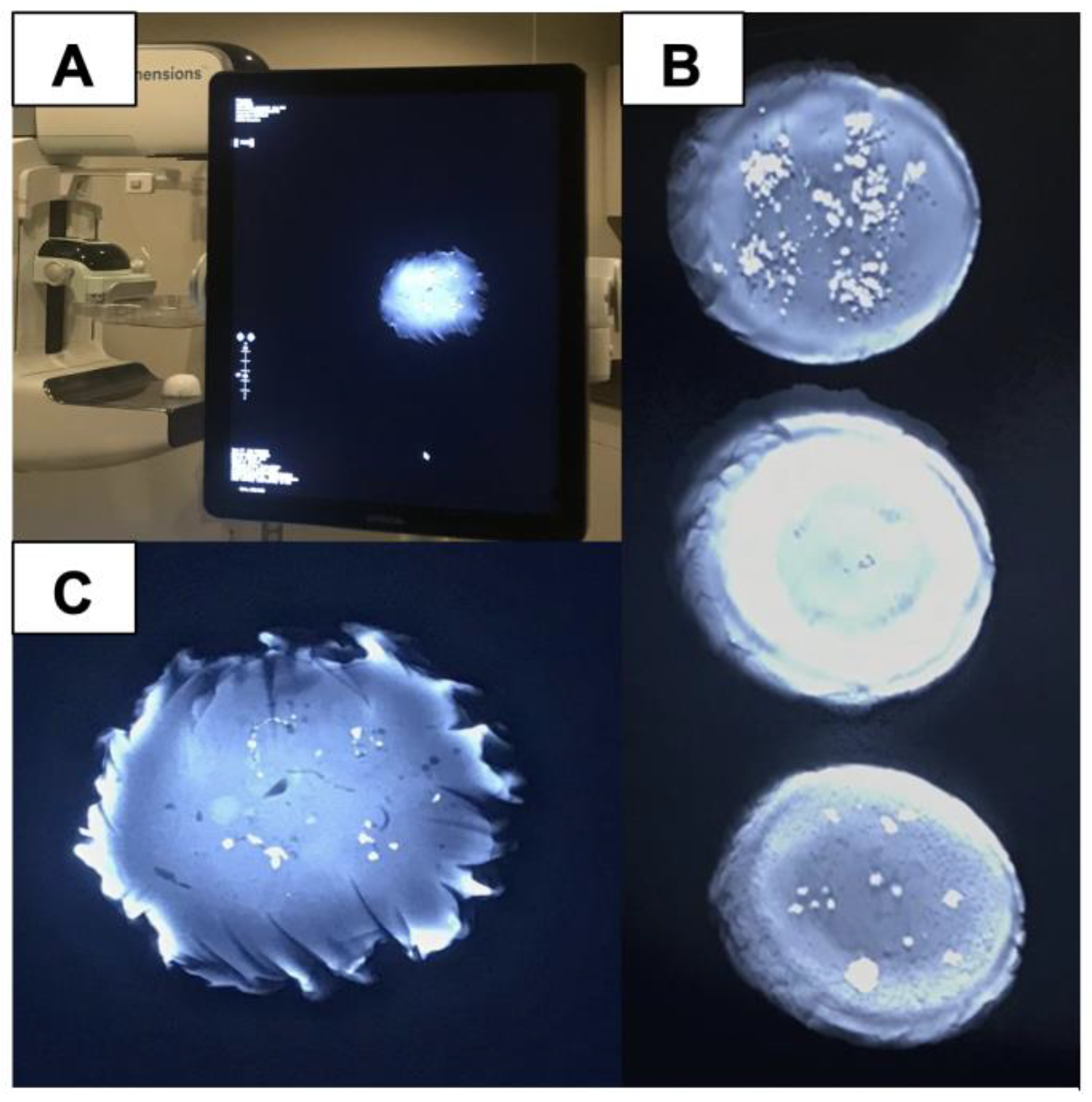 Preprints 142111 g010