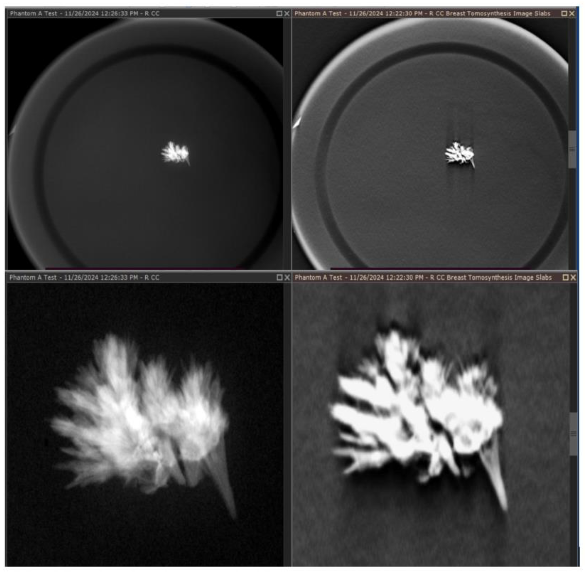 Preprints 142111 g012