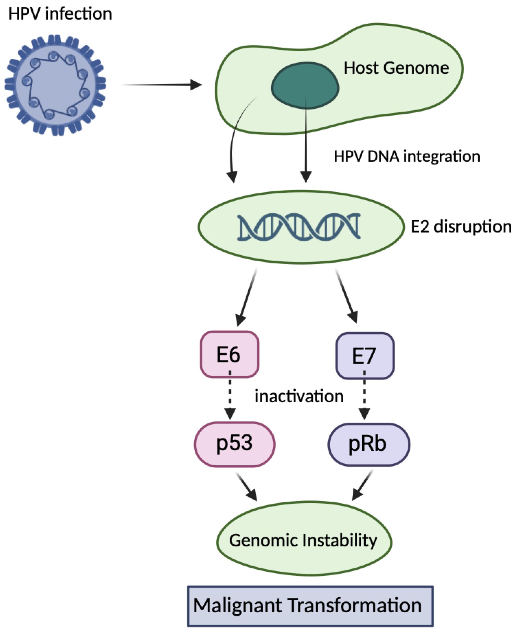 Preprints 170978 g001