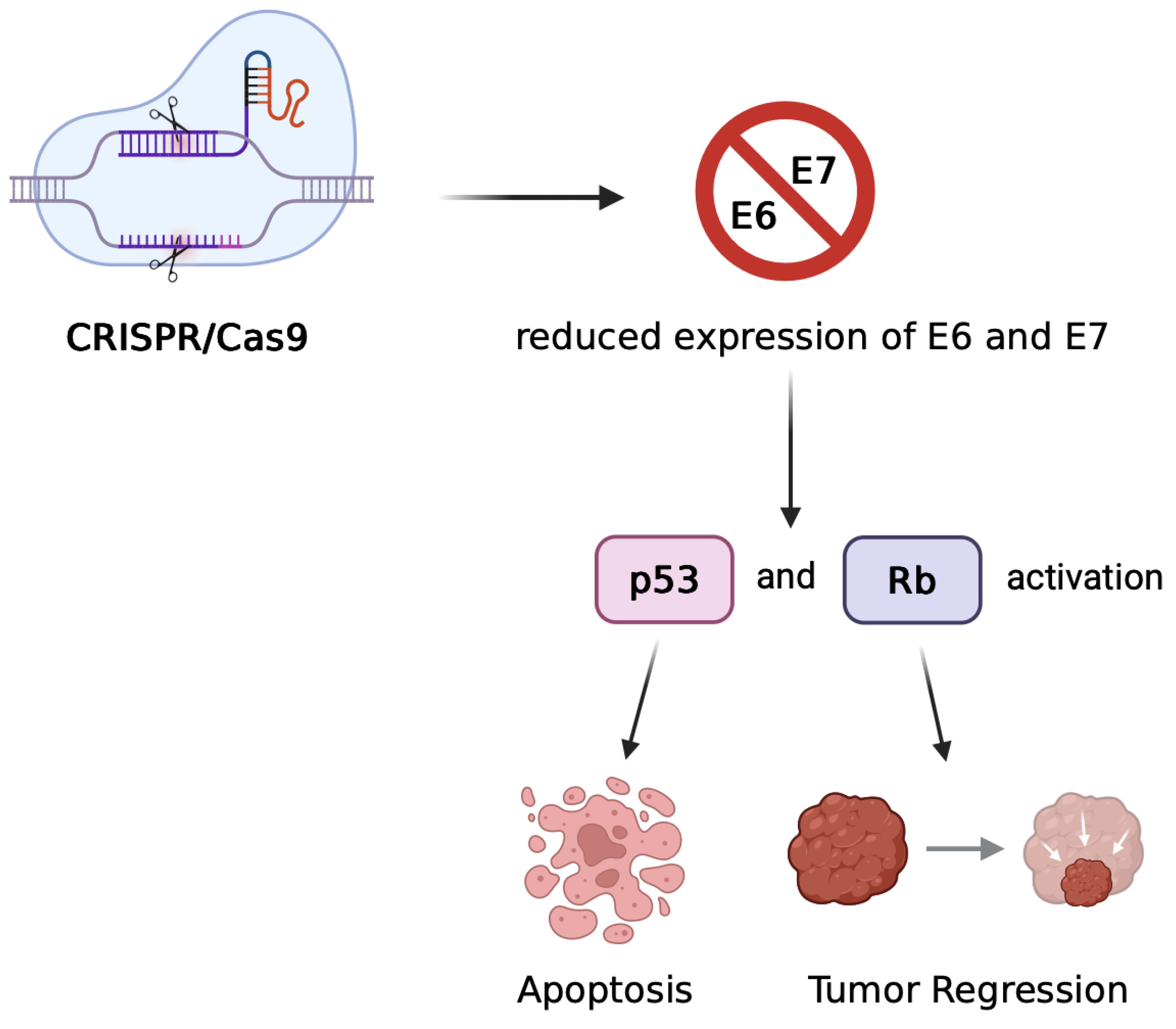 Preprints 170978 g002