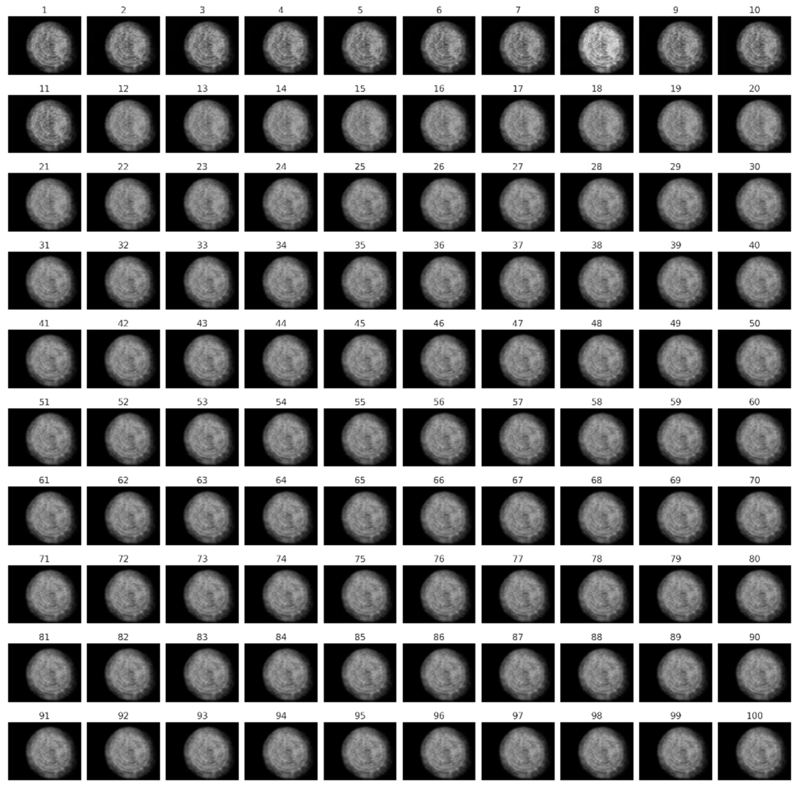 Preprints 156263 g002