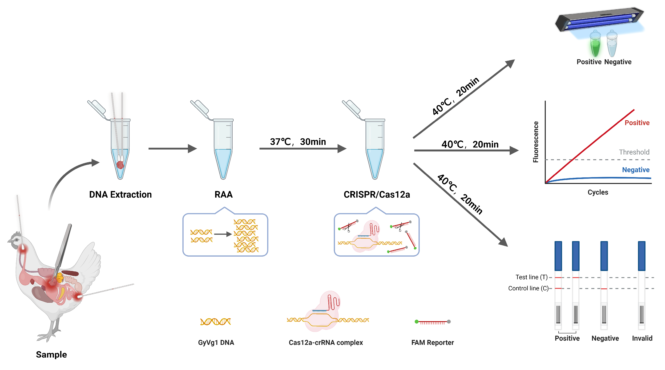 Preprints 156823 g001