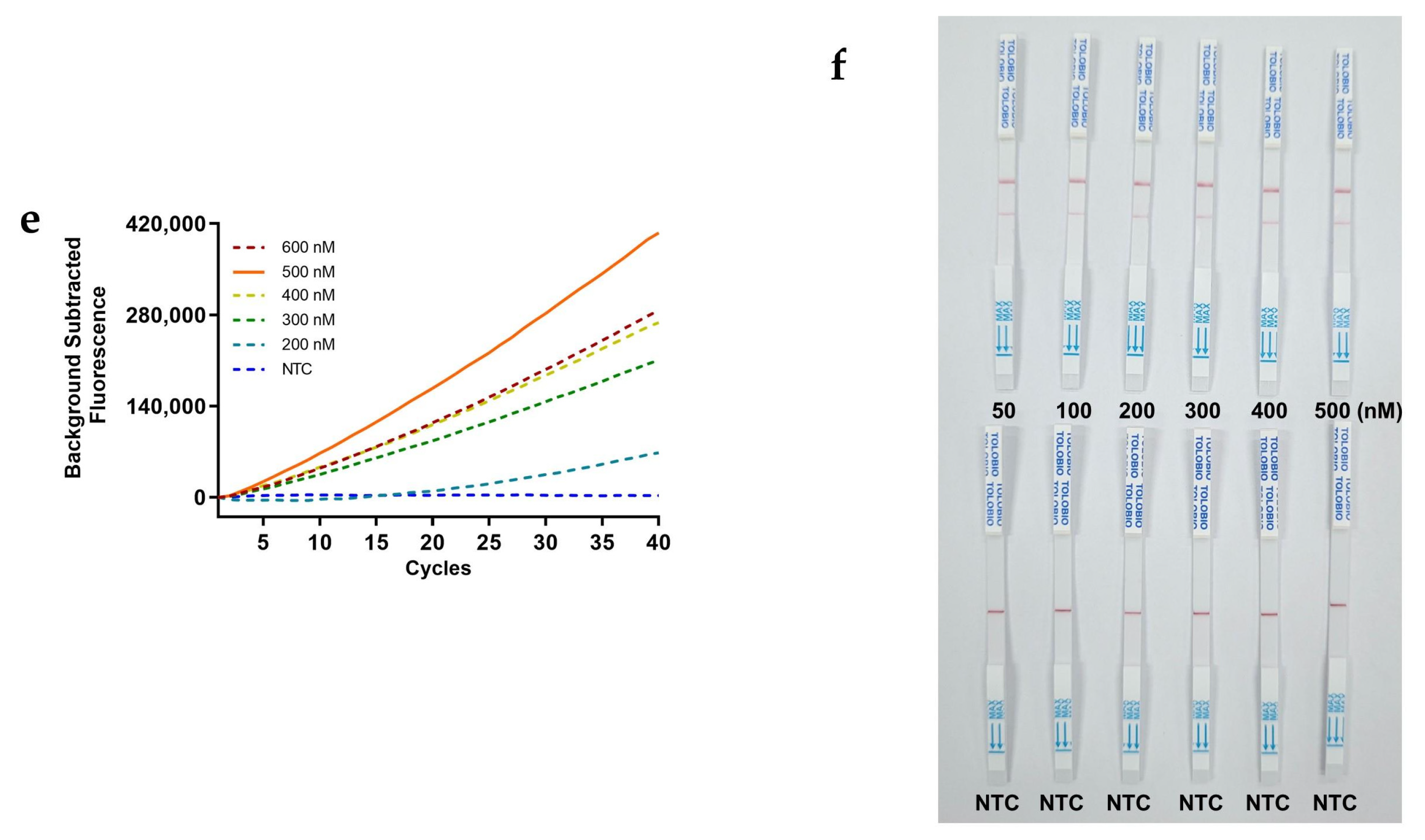 Preprints 156823 g003b