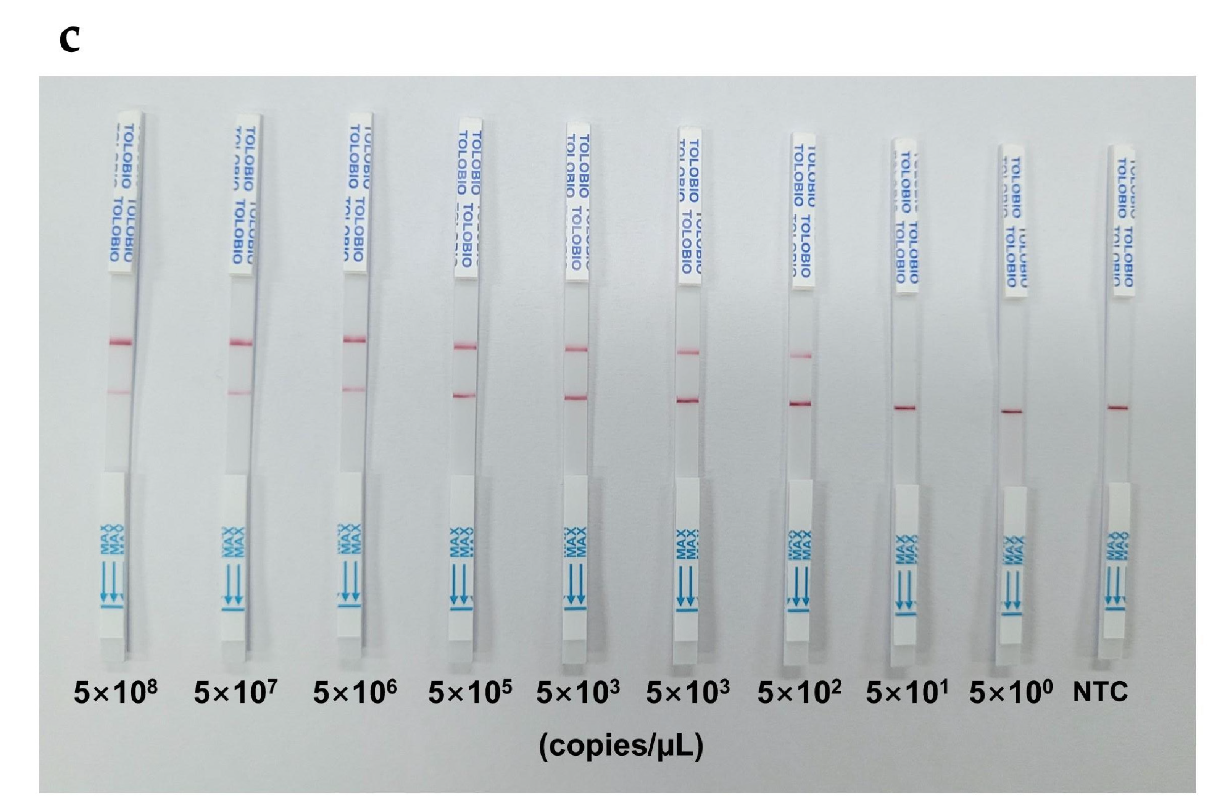 Preprints 156823 g004b