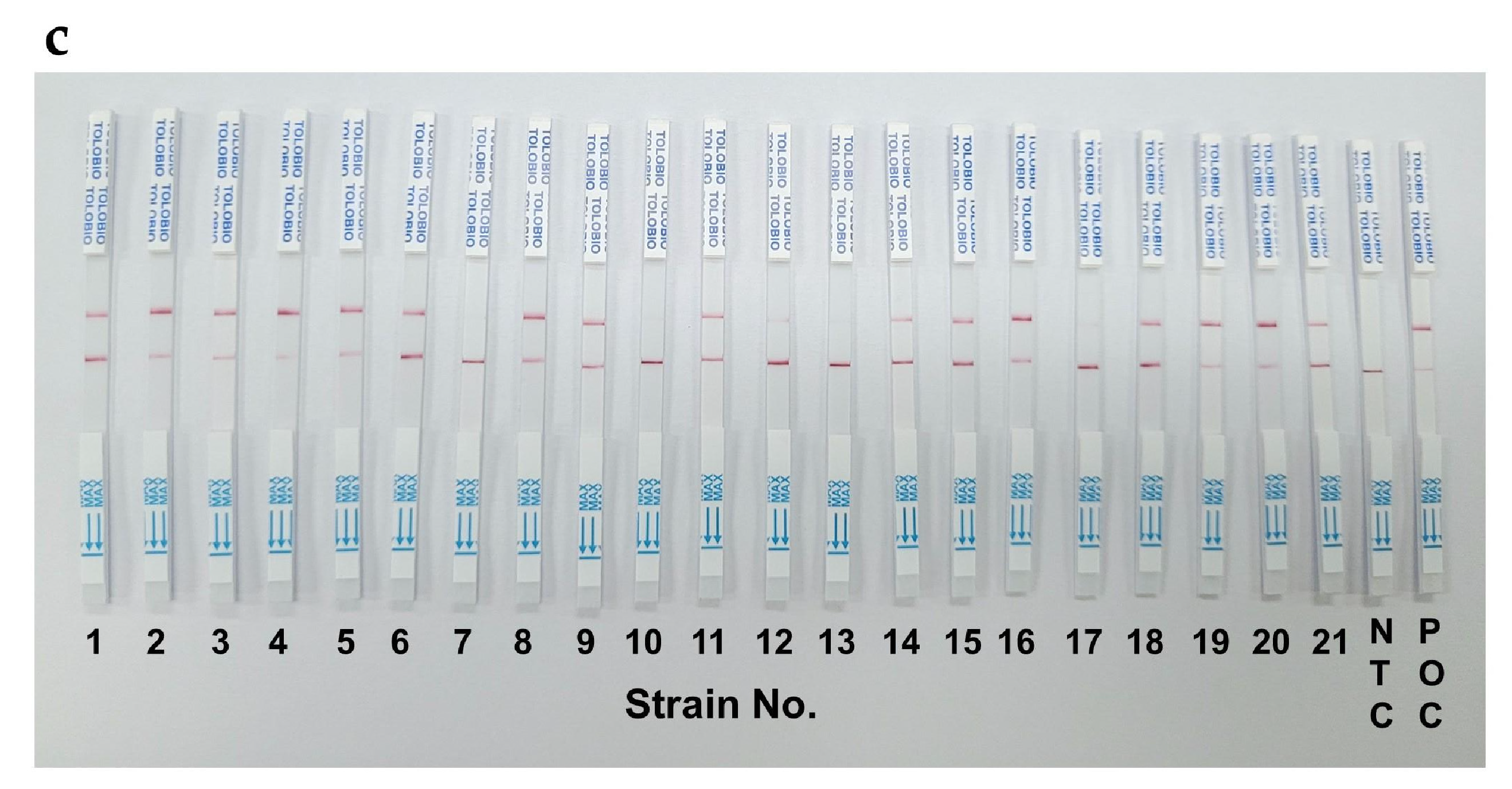 Preprints 156823 g006b