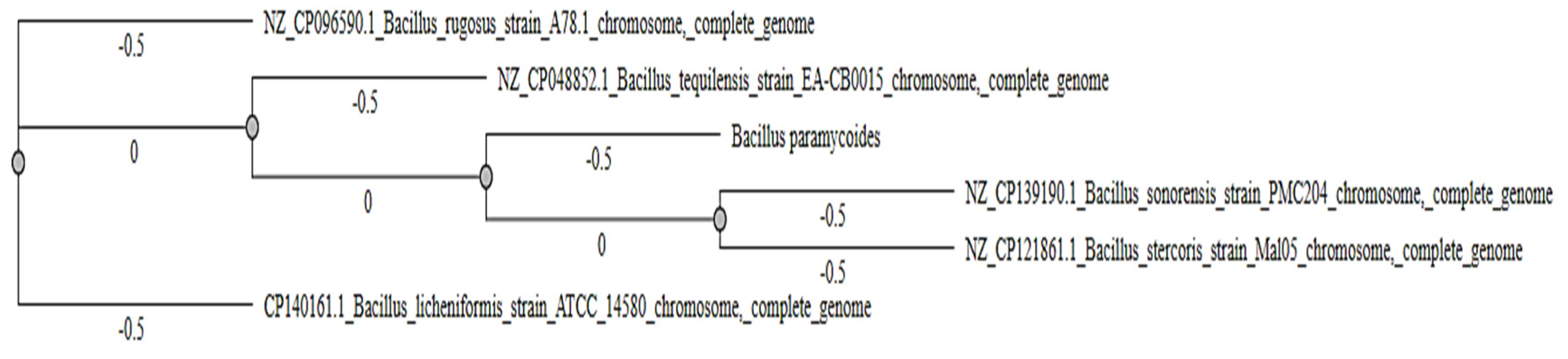 Preprints 148218 g005