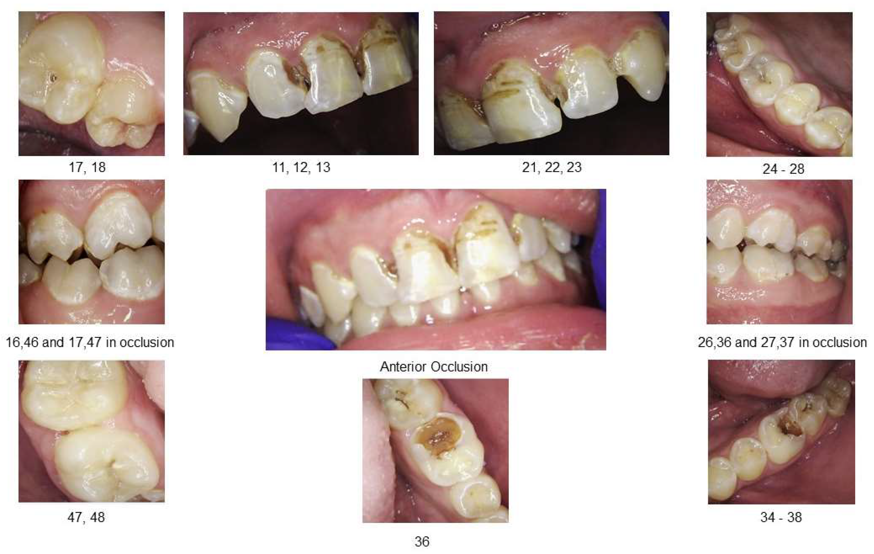Preprints 158580 g001