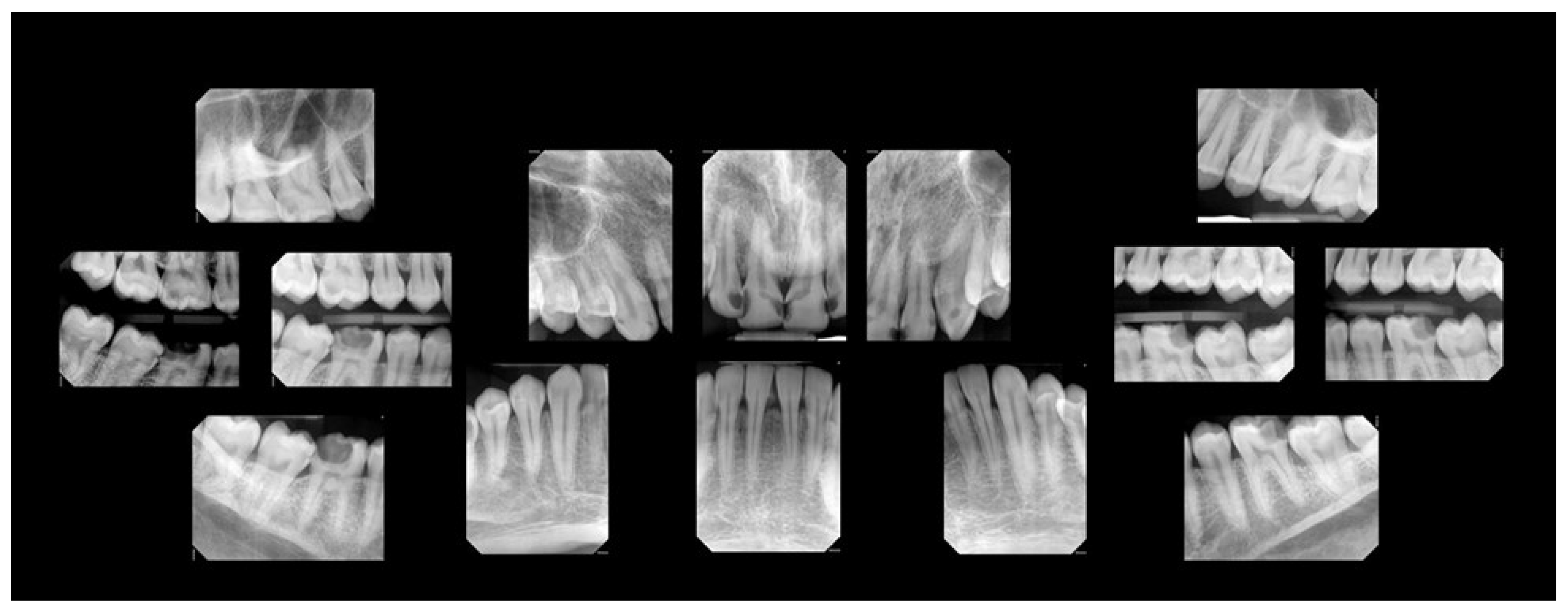 Preprints 158580 g002