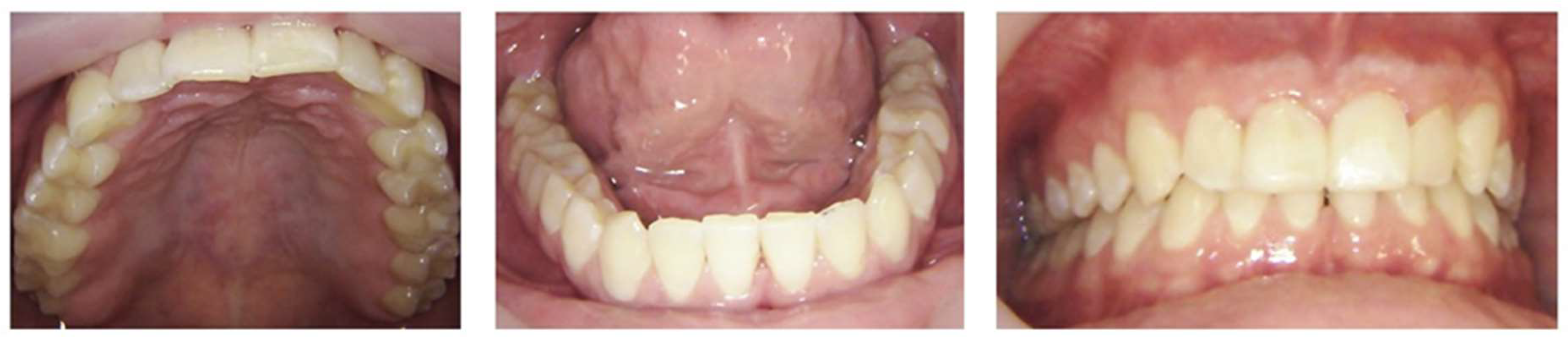 Preprints 158580 g003