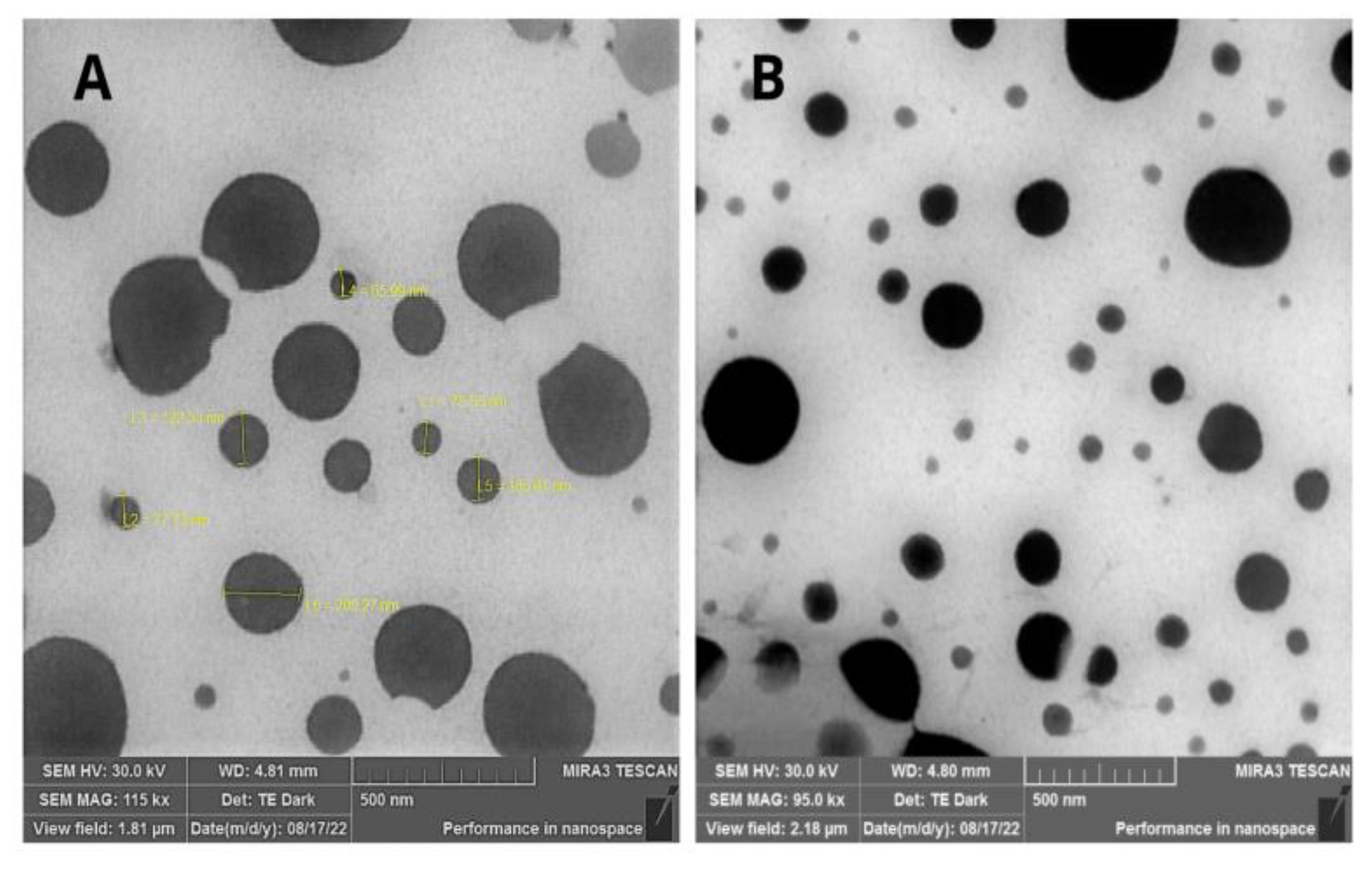 Preprints 164988 g001