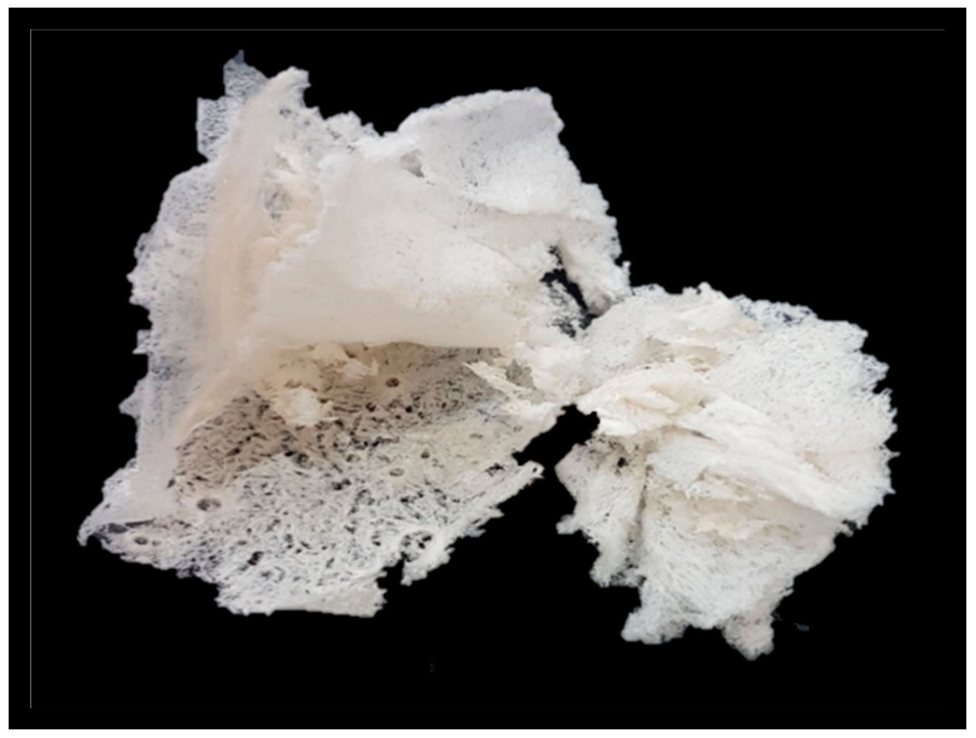 Preprints 83075 g003