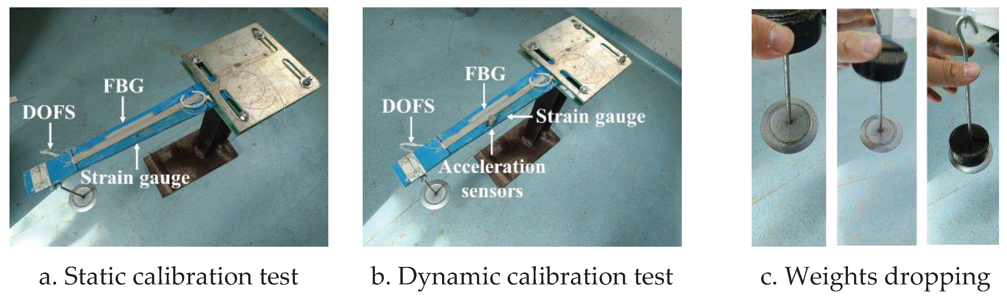 Preprints 97001 g011