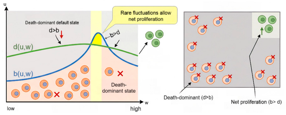 Preprints 232593 g003