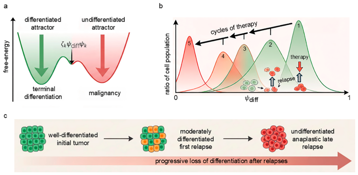 Preprints 232593 g006