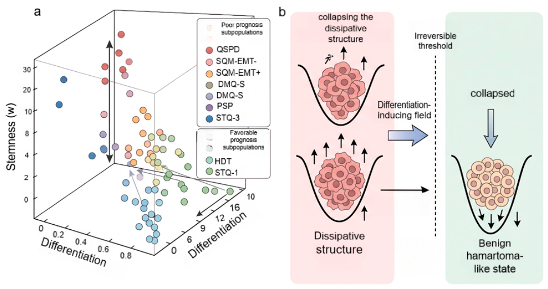Preprints 232593 g007