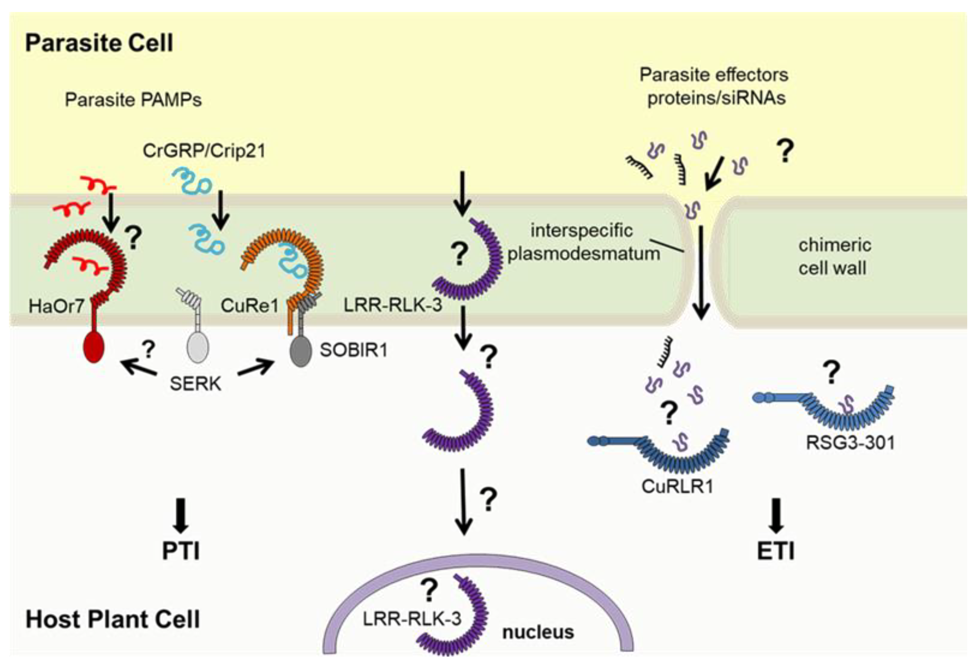 Preprints 155499 g001