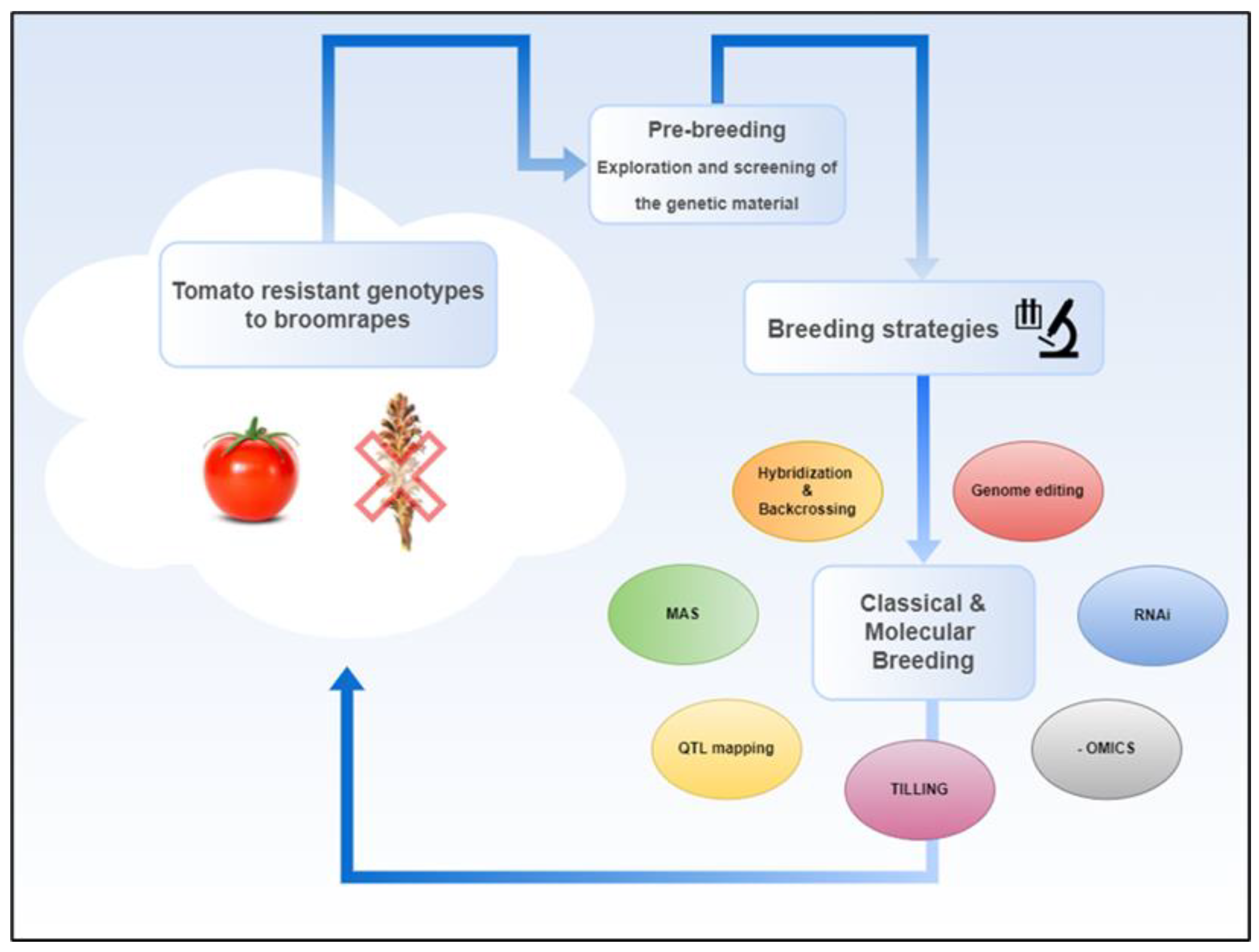 Preprints 155499 g002