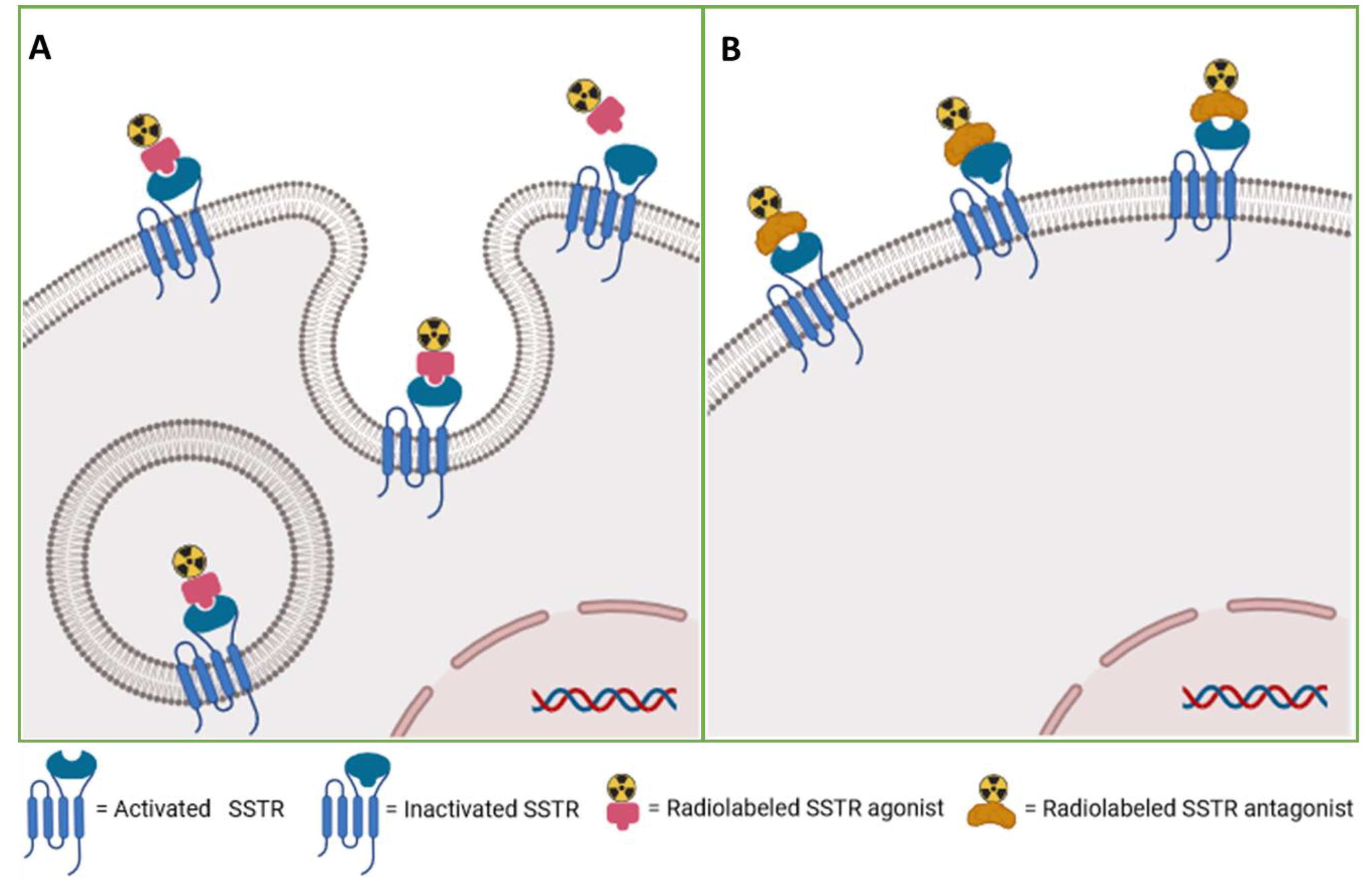 Preprints 117019 g001