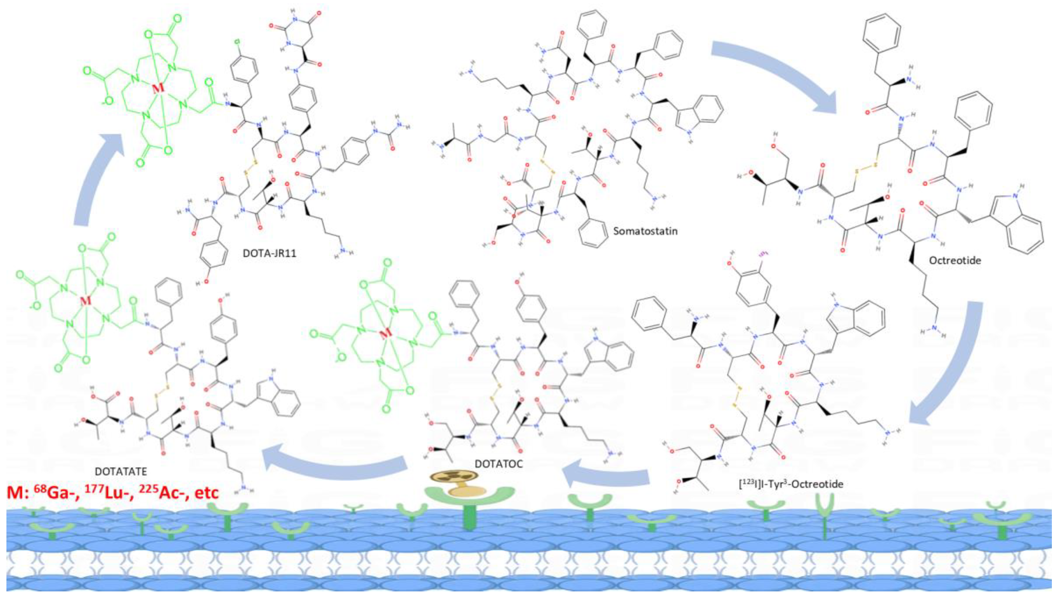 Preprints 117019 g002