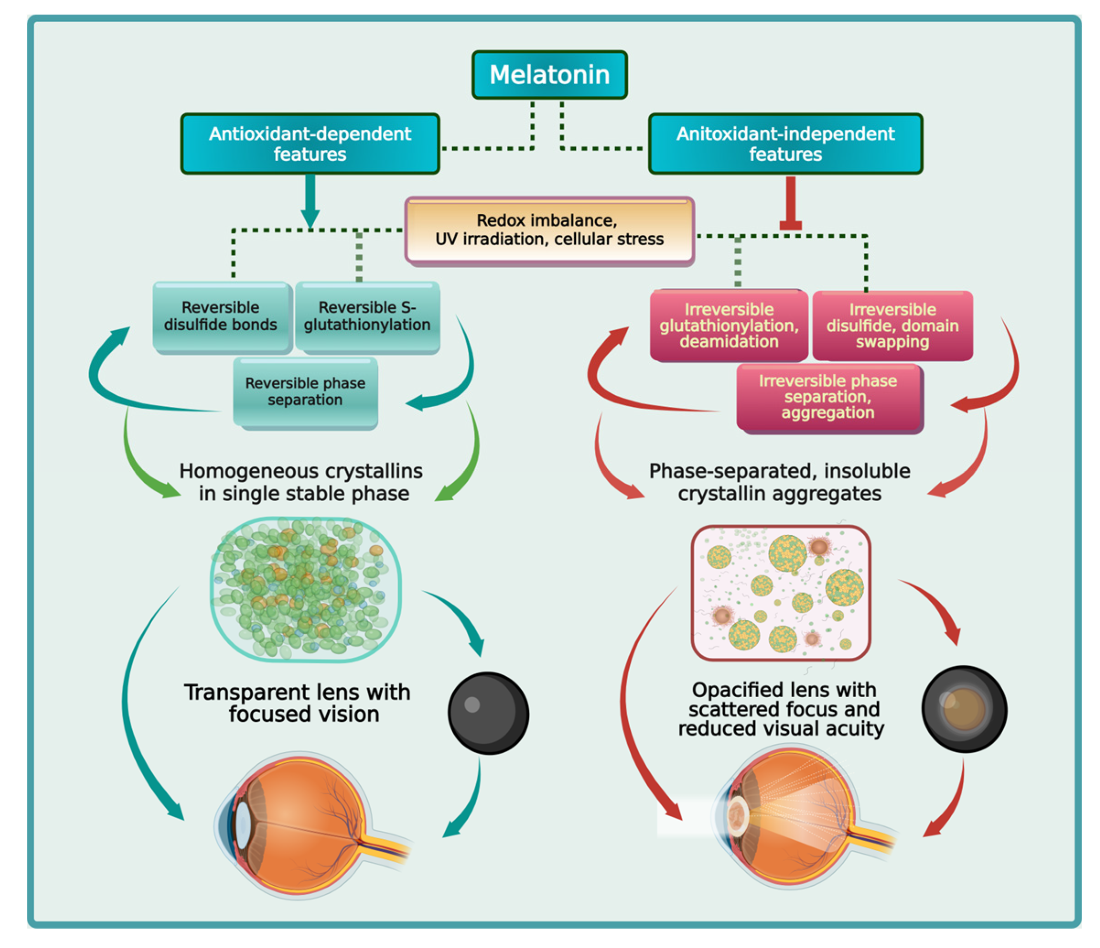 Preprints 179458 g001