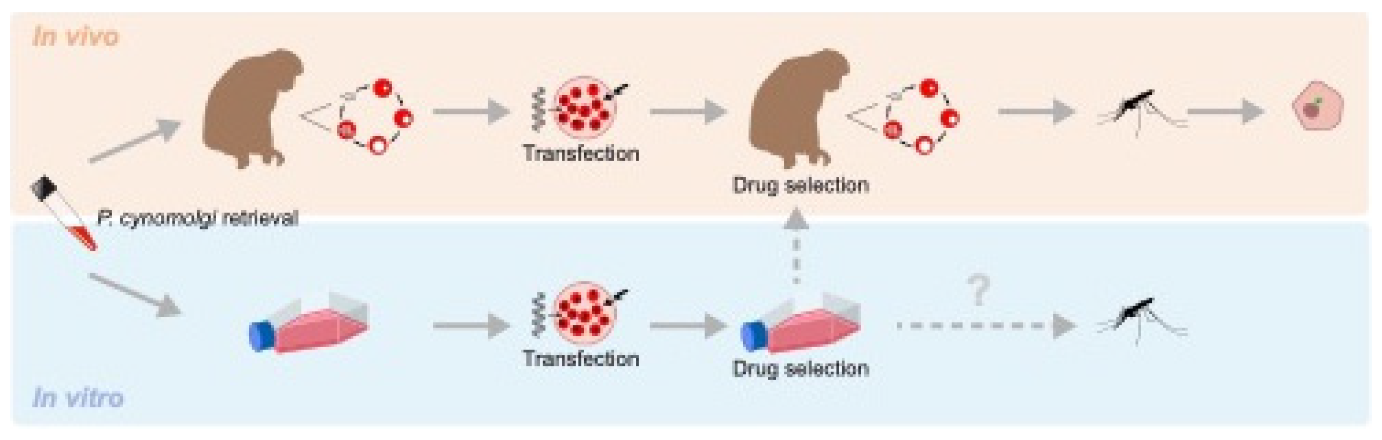 Preprints 79942 g001