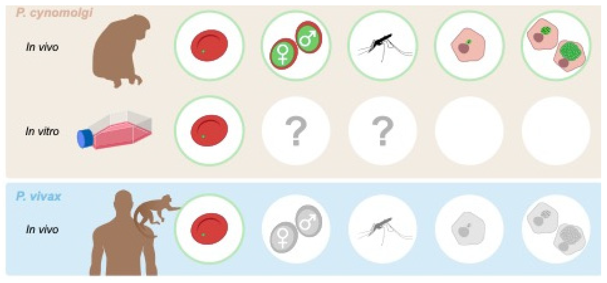 Preprints 79942 g002