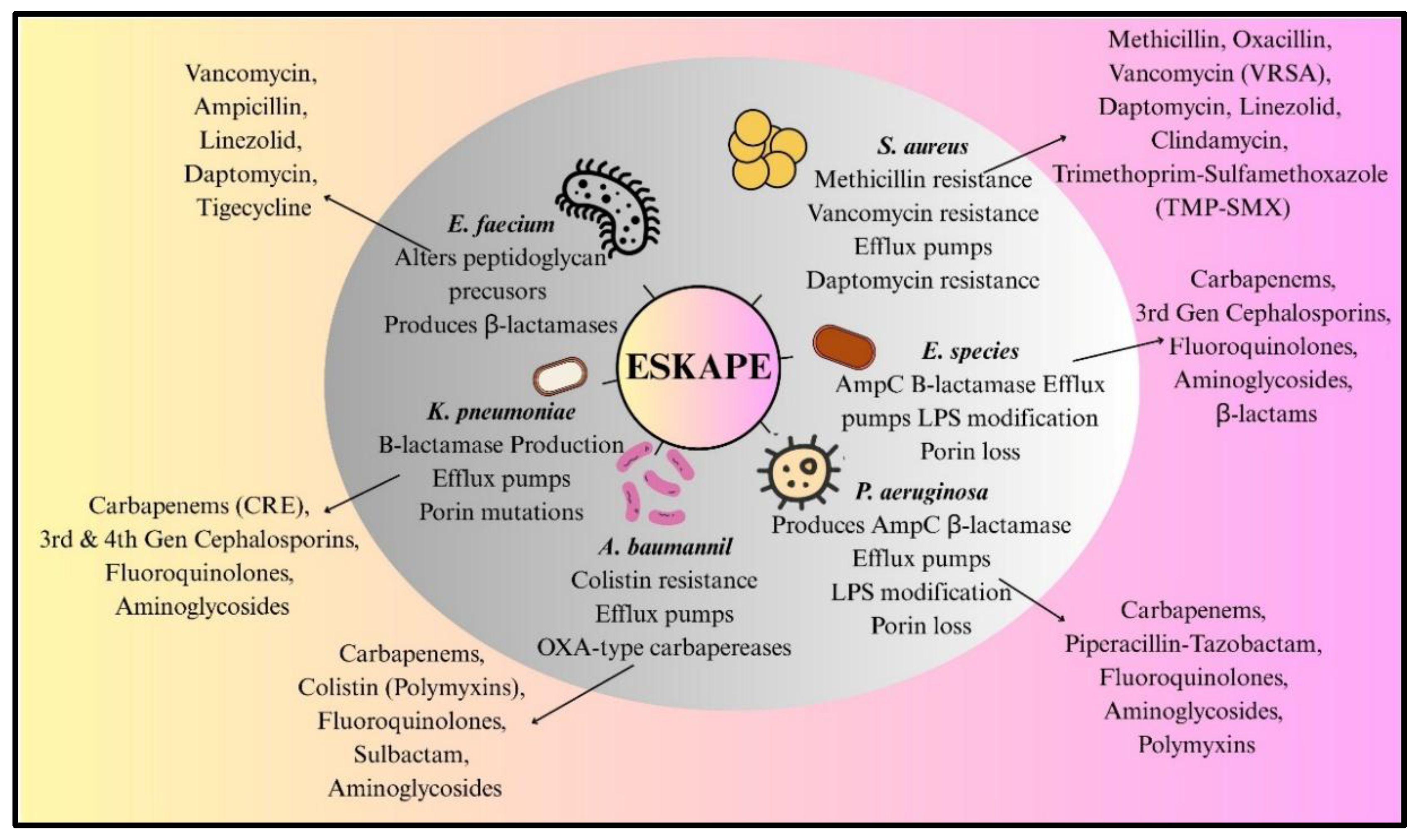 Preprints 179890 g005