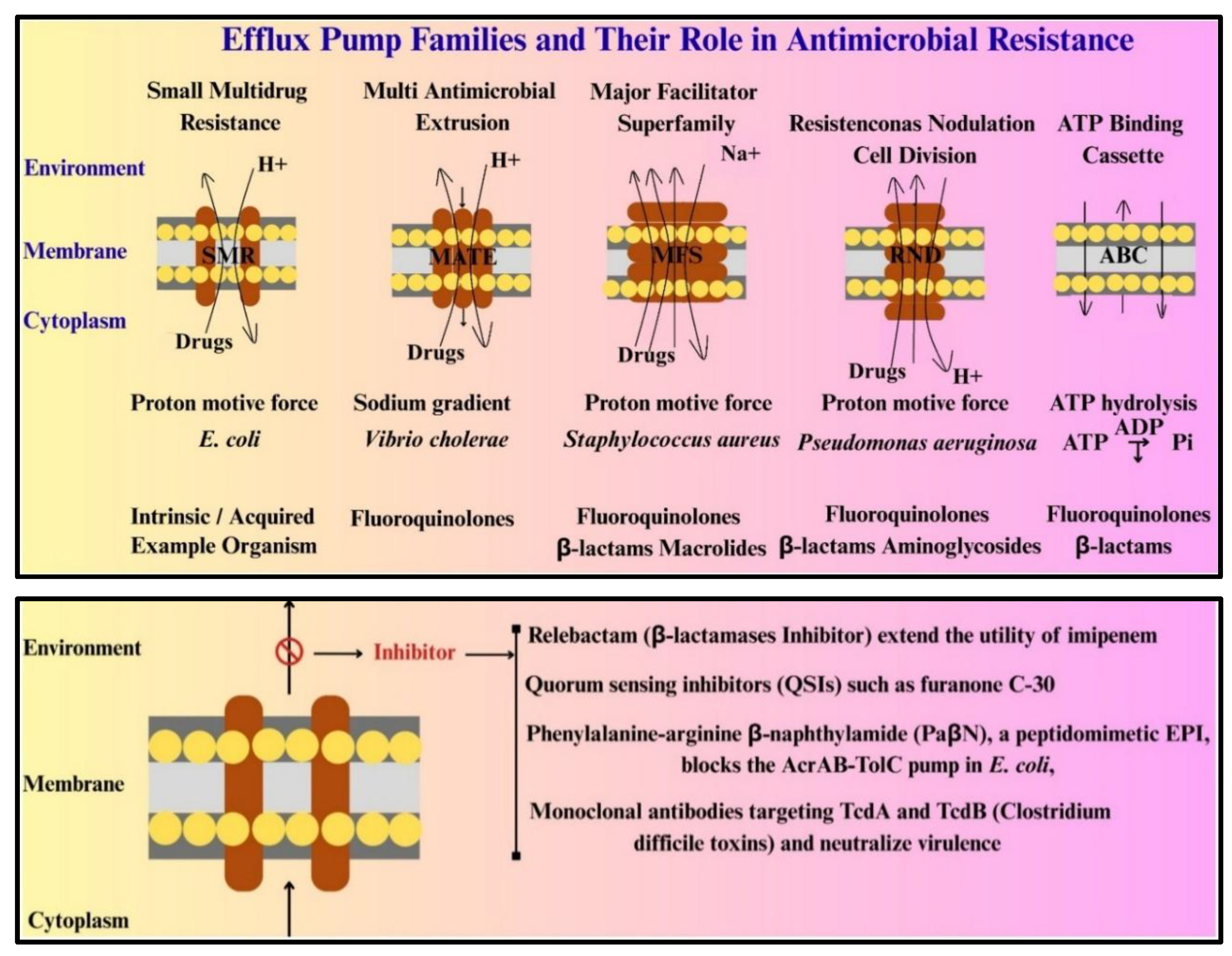 Preprints 179890 g006