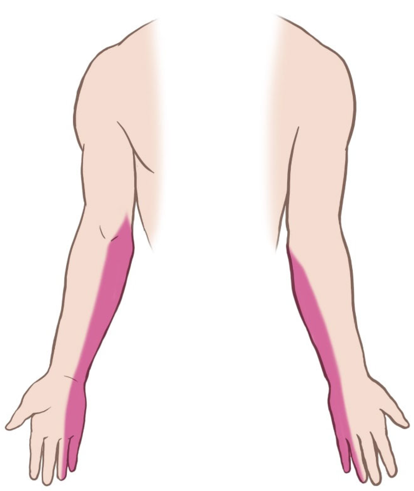 Preprints 171941 g002