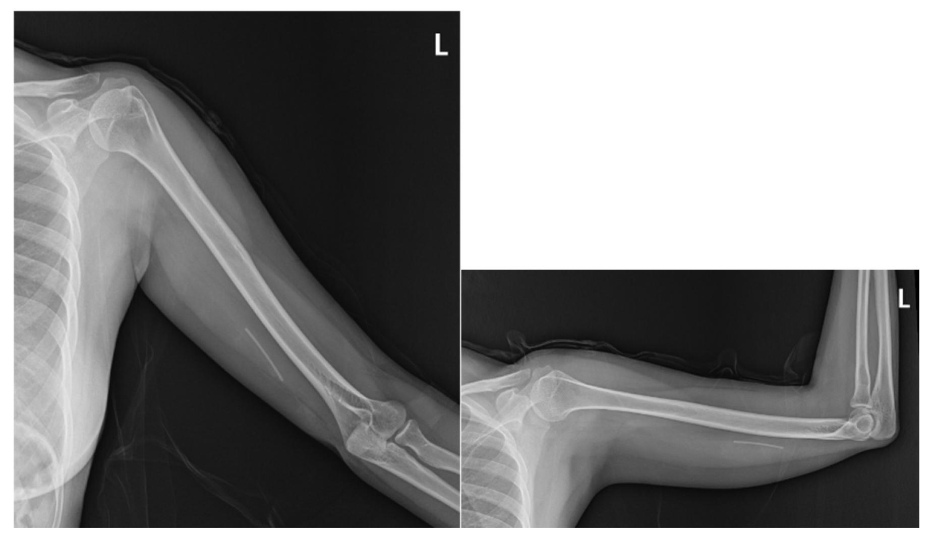 Preprints 171941 g003