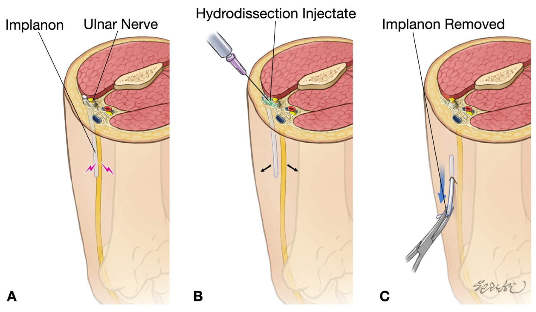 Preprints 171941 g005