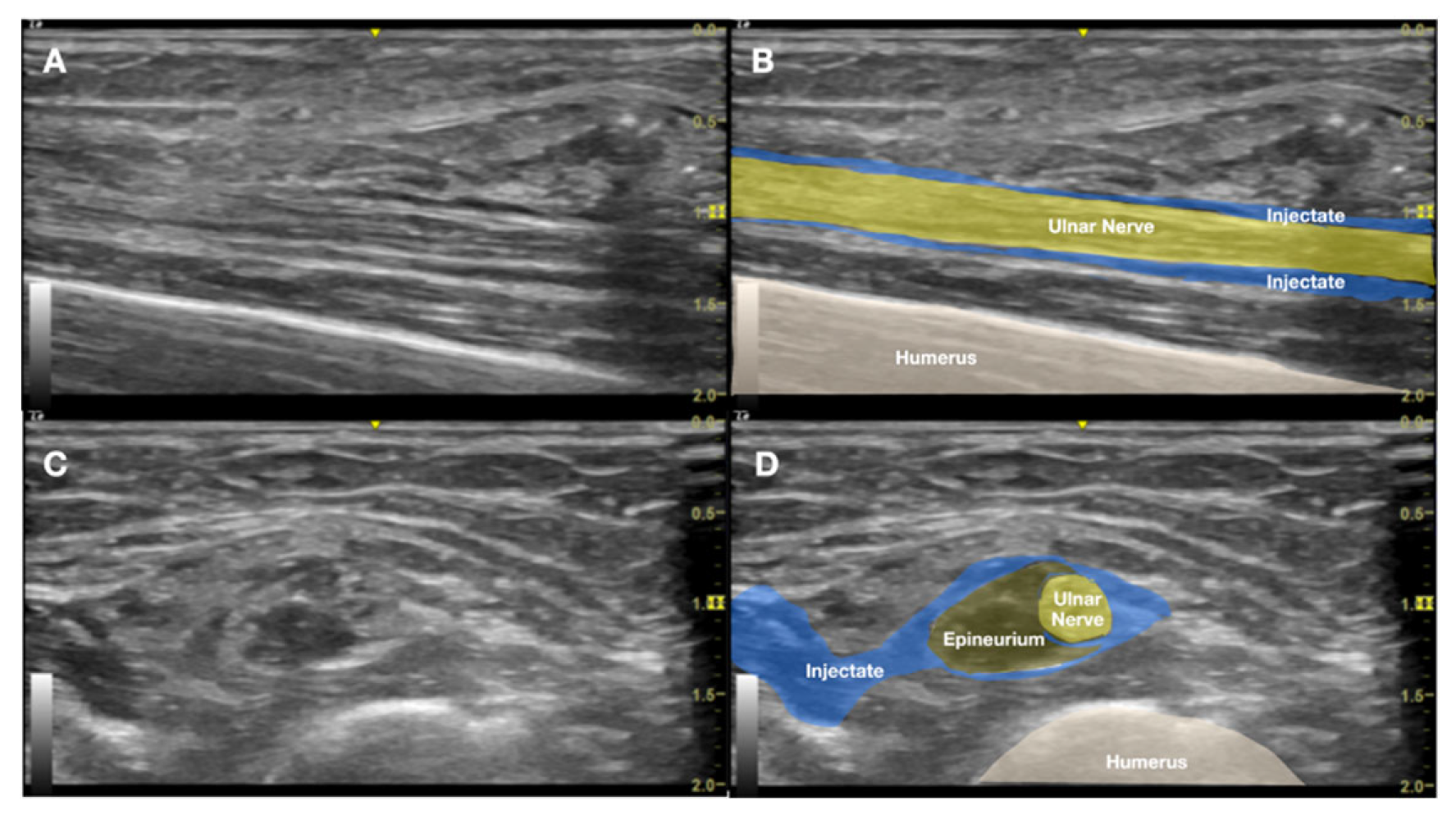 Preprints 171941 g008