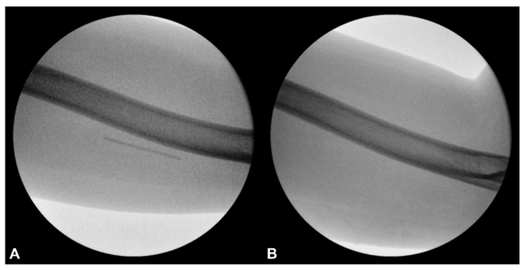 Preprints 171941 g009