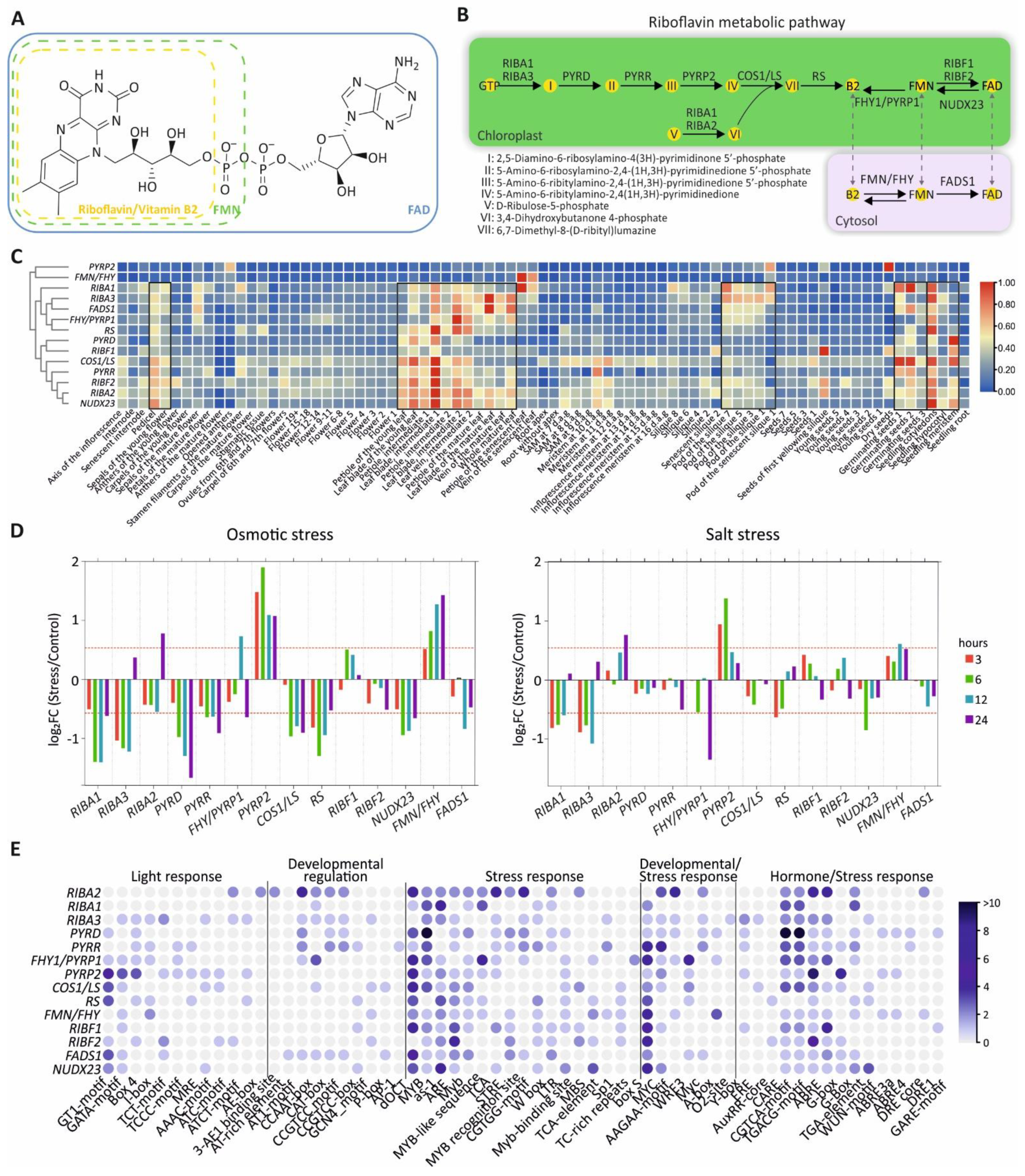 Preprints 188005 g001