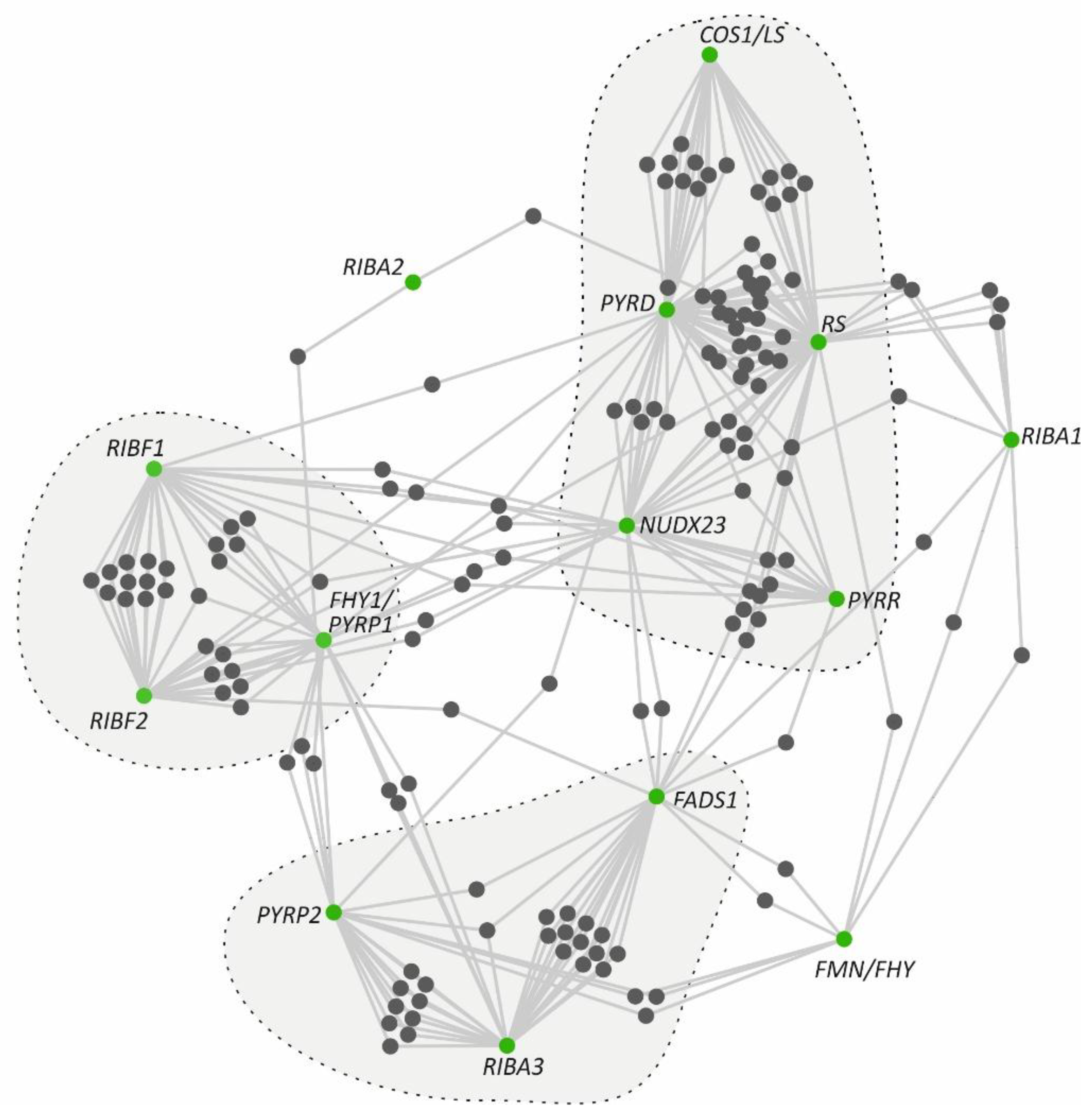 Preprints 188005 g002