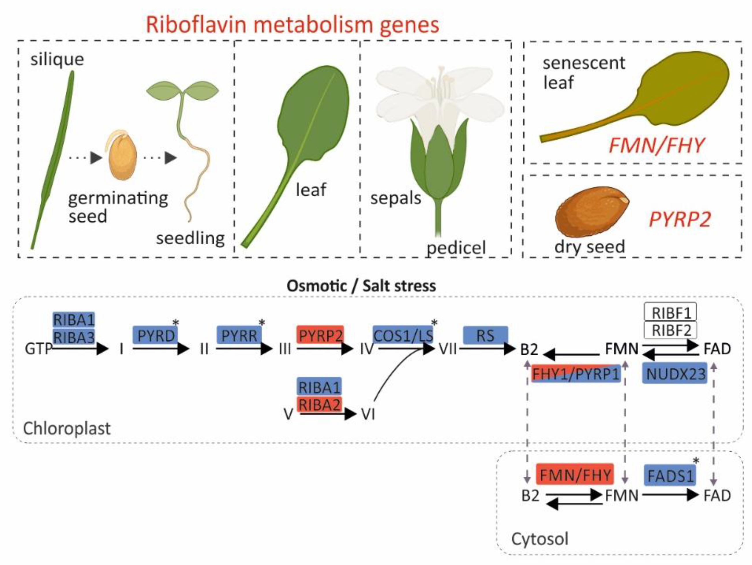 Preprints 188005 g004