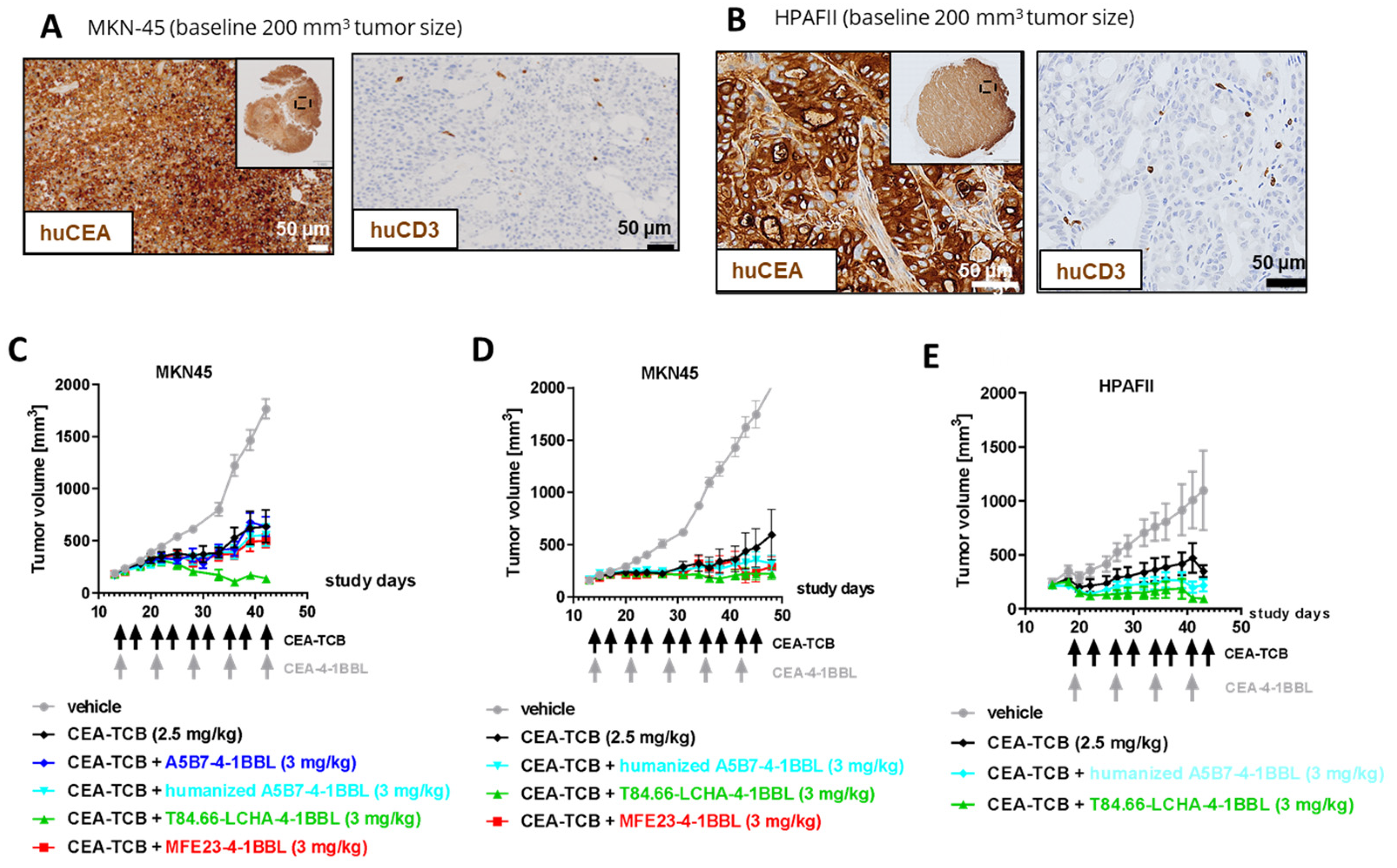 Preprints 178622 g004