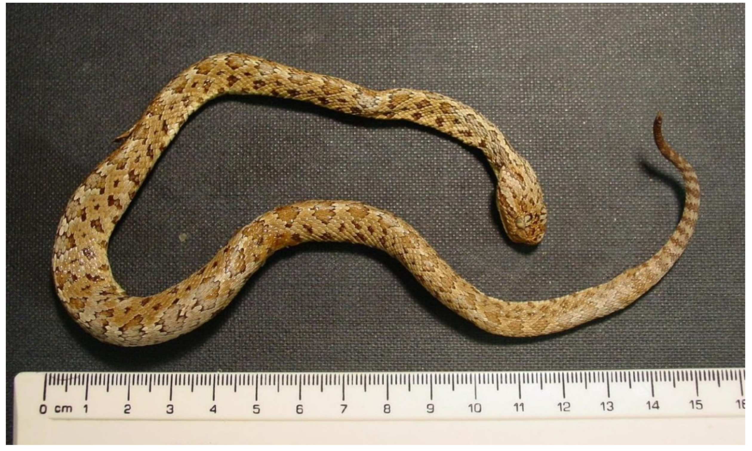 Preprints 102979 g001